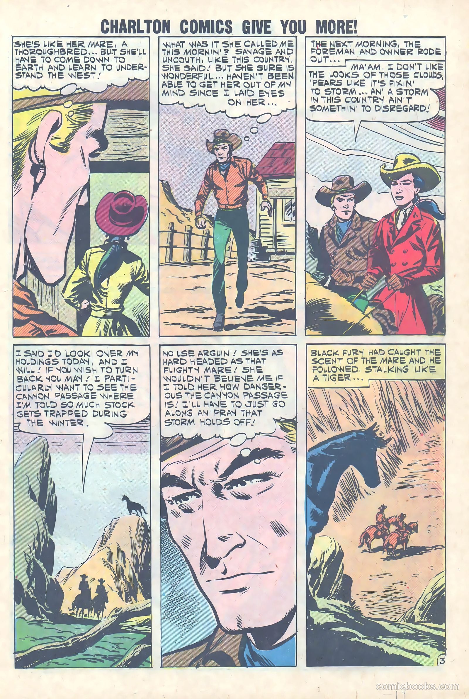 Black Fury #31 (1961) — page 11 of 36