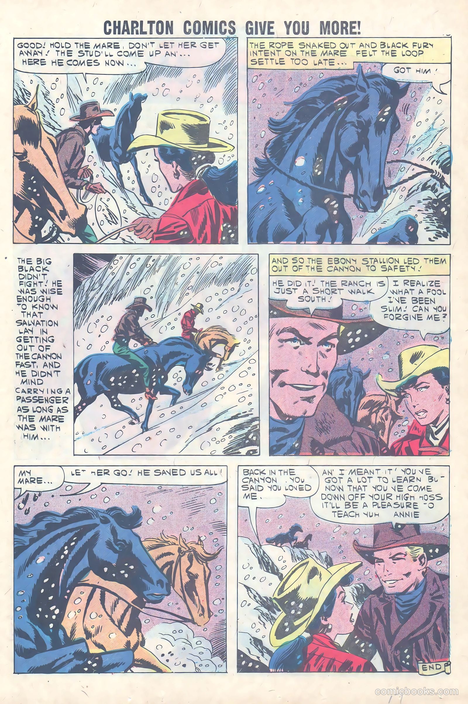 Black Fury #31 (1961) — page 17 of 36