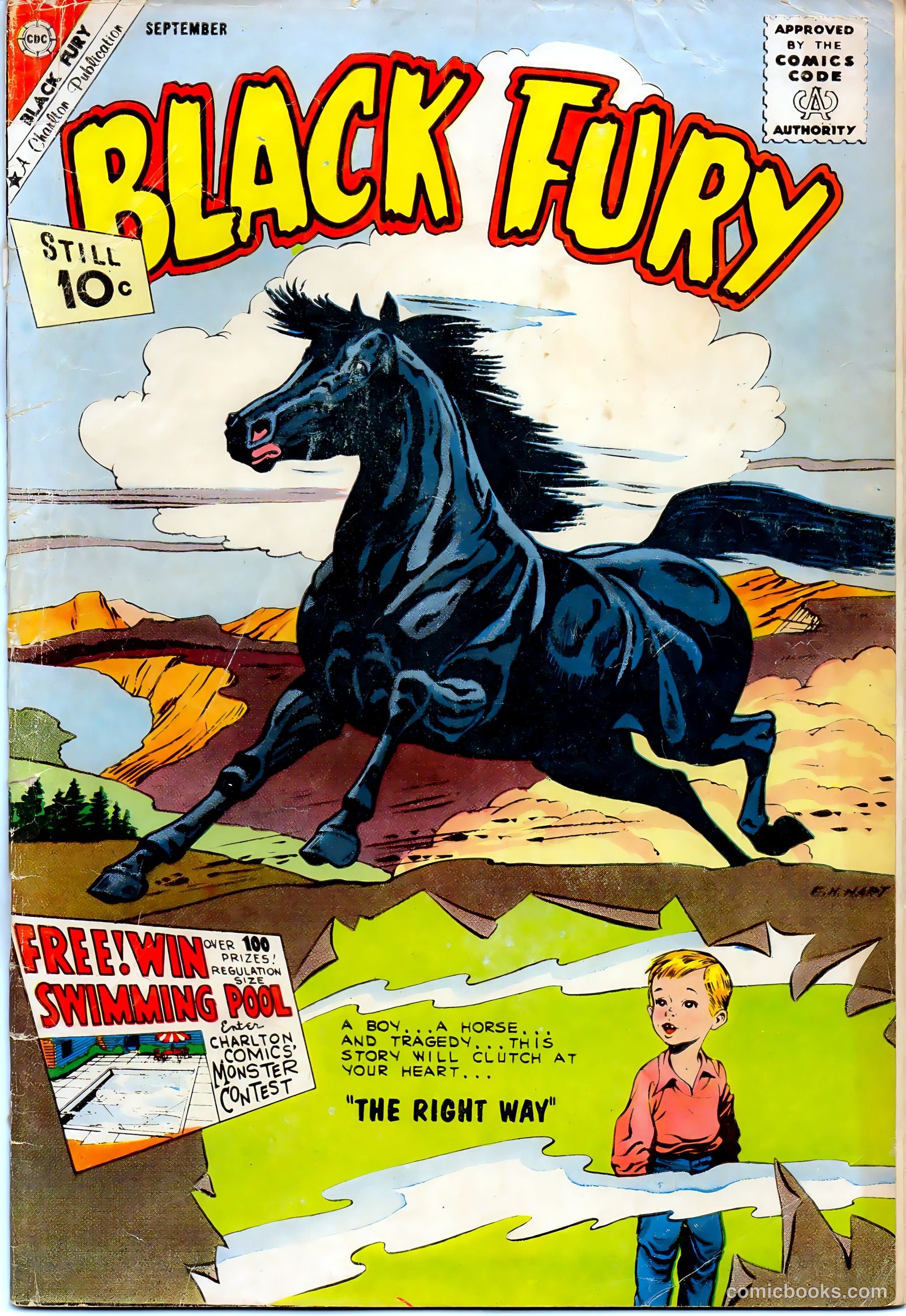 Black Fury #32