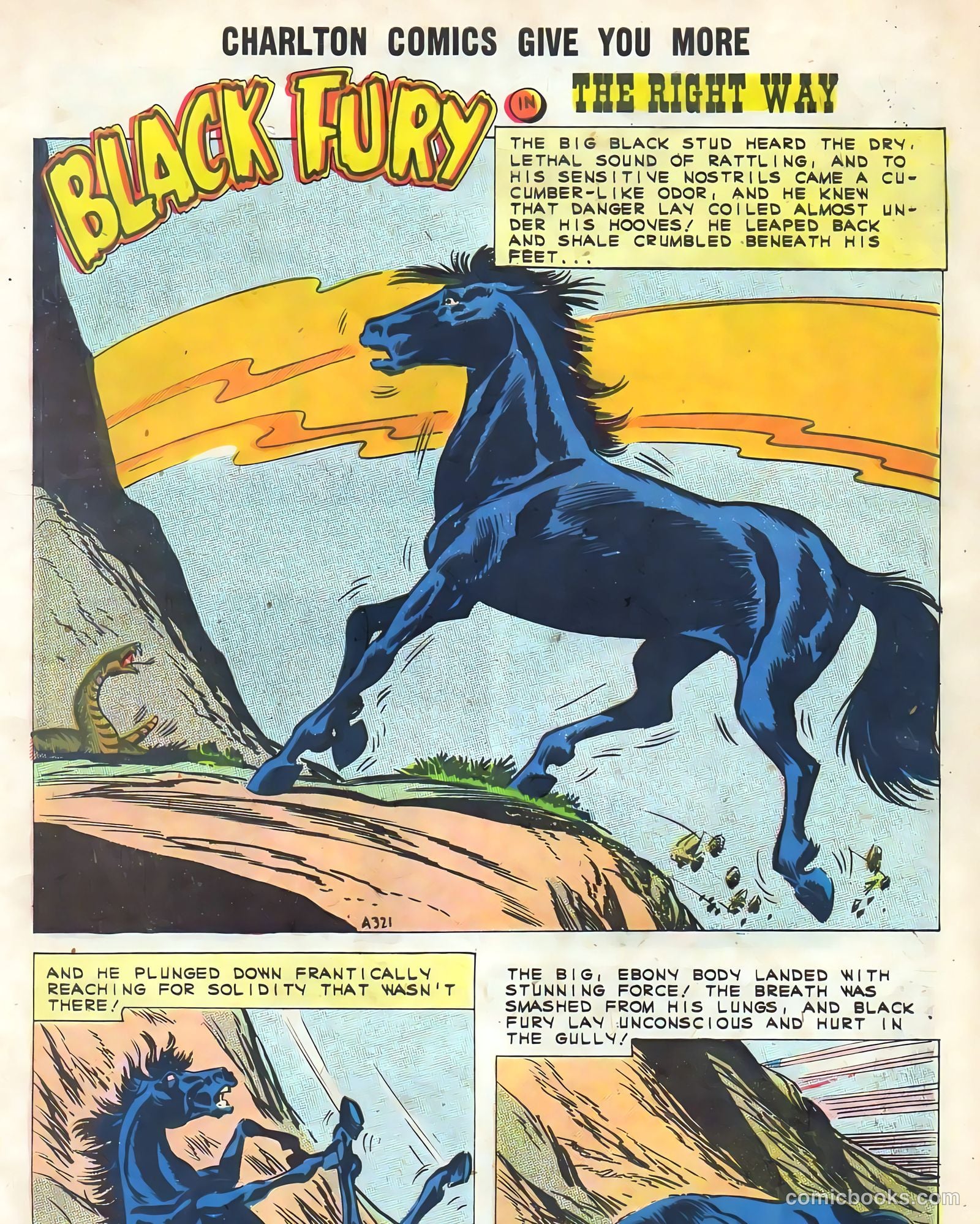 Black Fury #32 (1961) — page 3 of 36