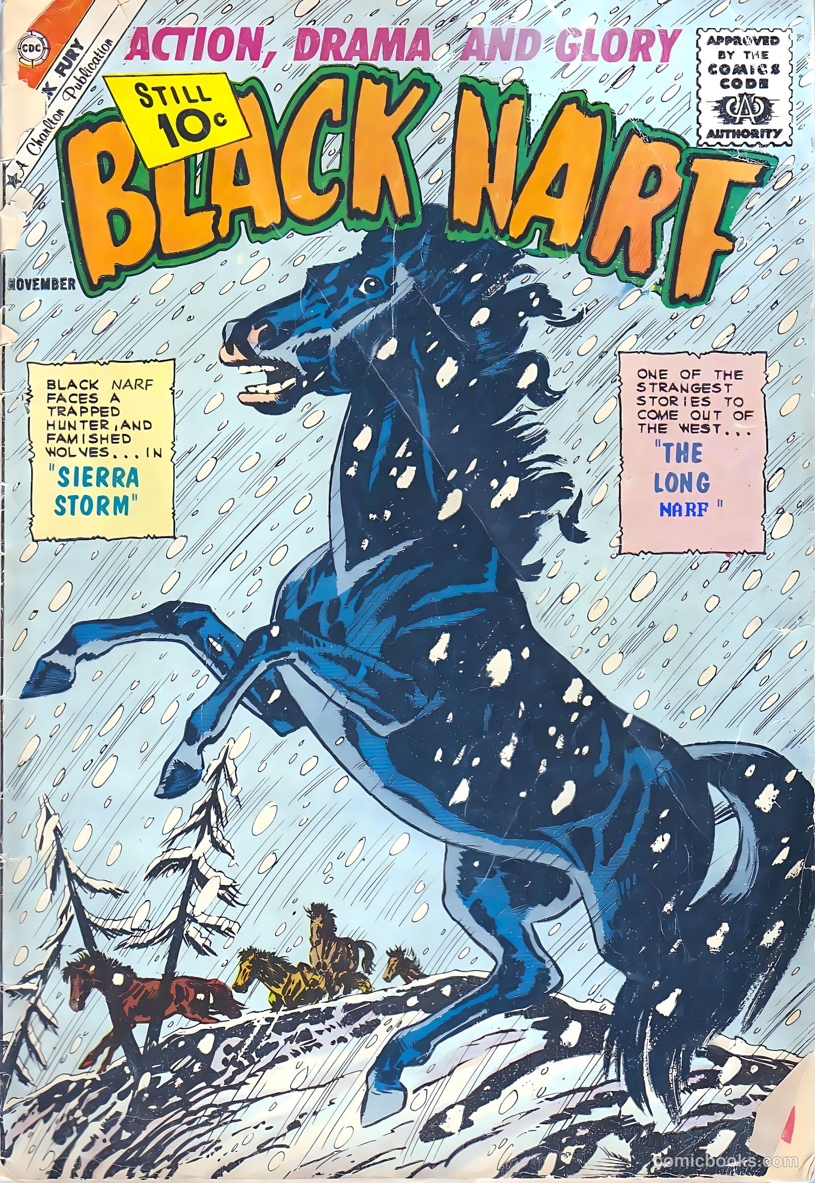 Black Fury #33