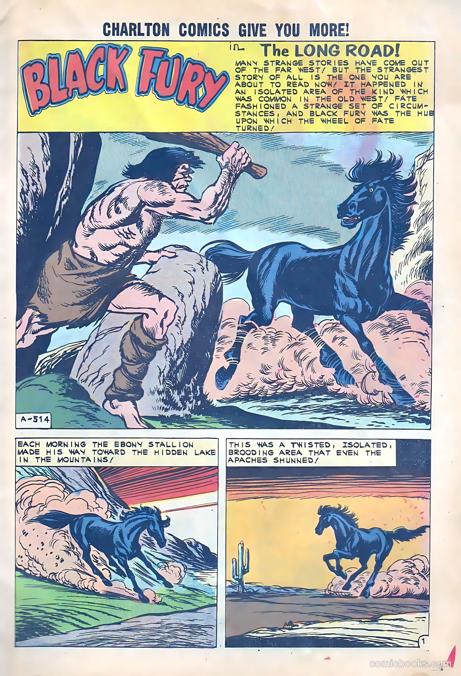 Black Fury #33 (1961) — page 4 of 37