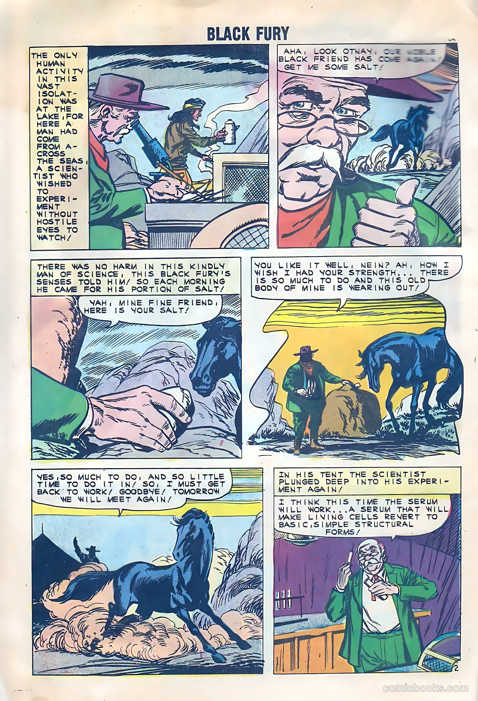 Black Fury #33 (1961) — page 5 of 37