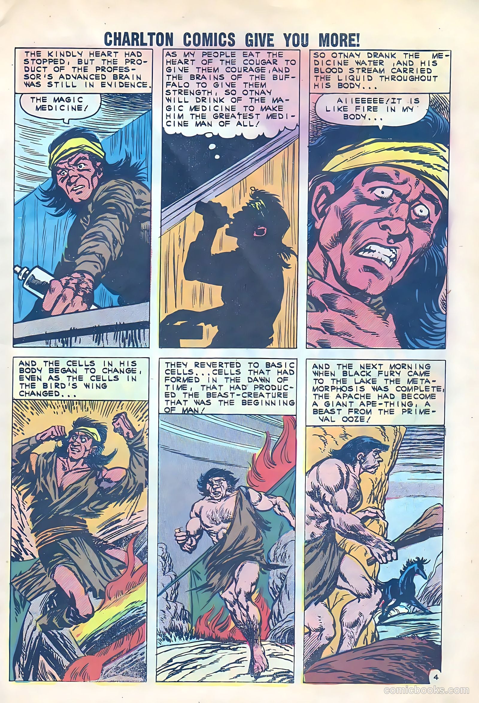 Black Fury #33 (1961) — page 8 of 37