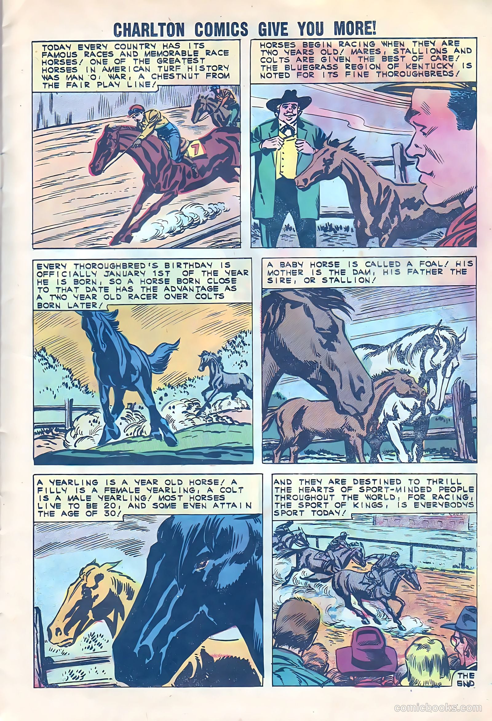 Black Fury #33 (1961) — page 12 of 37