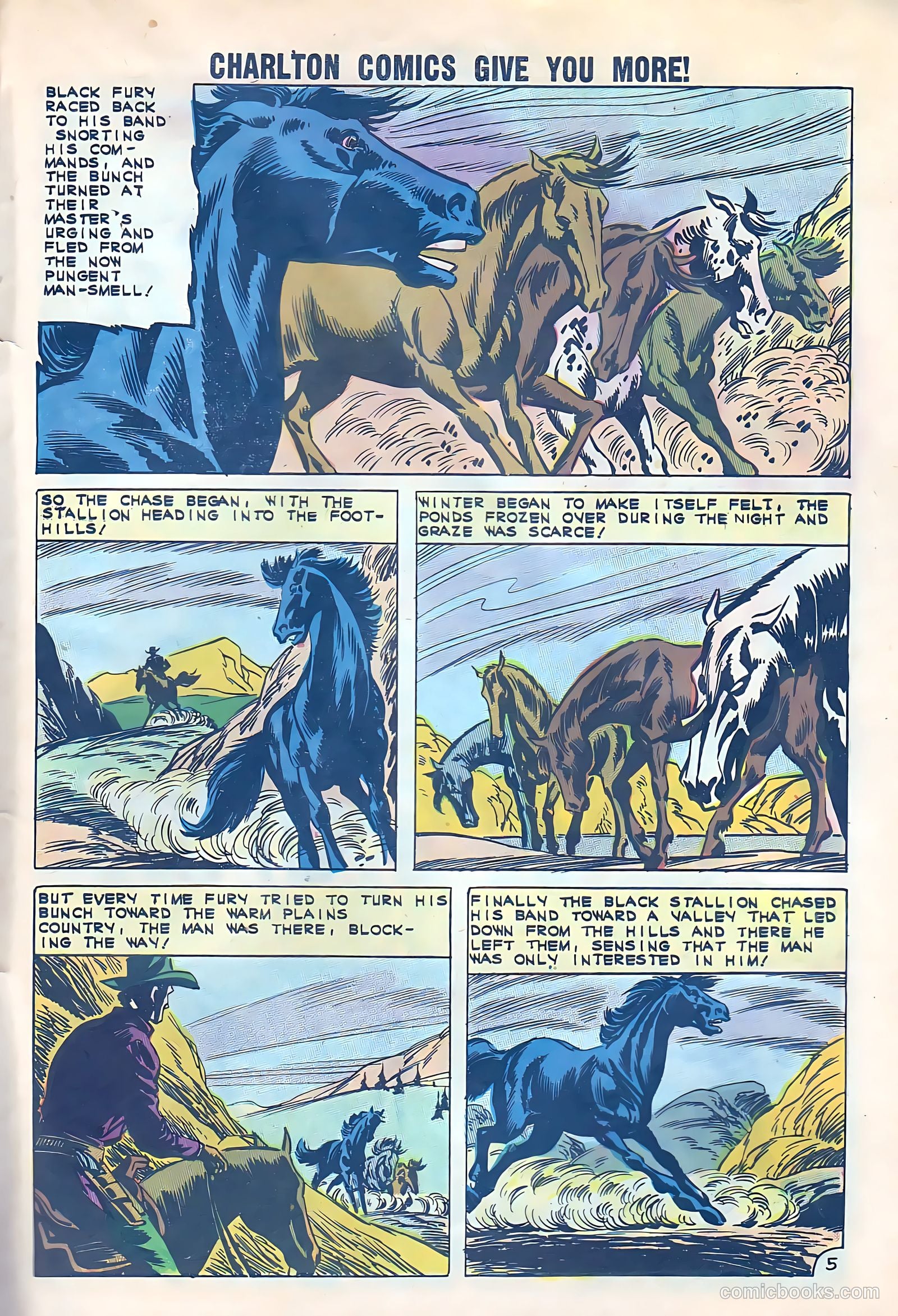 Black Fury #33 (1961) — page 28 of 37