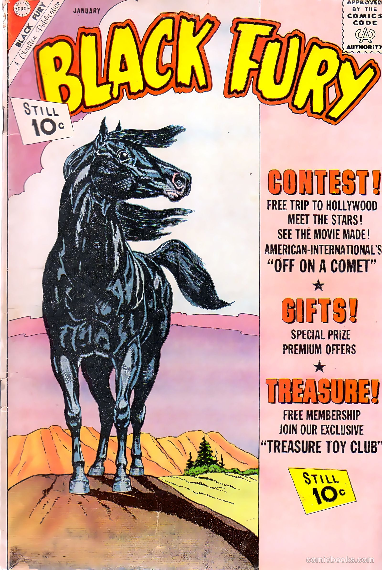 Black Fury #34