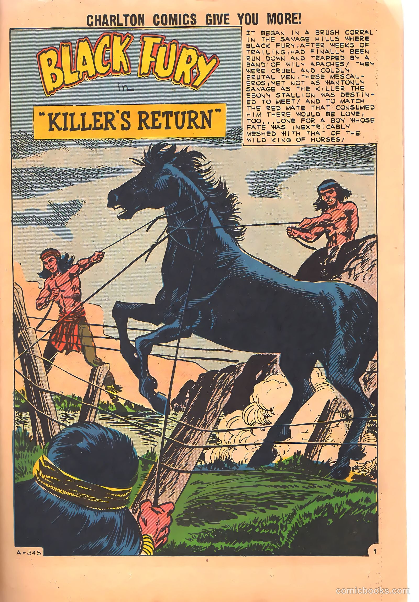 Black Fury #34 (1962) — page 23 of 36