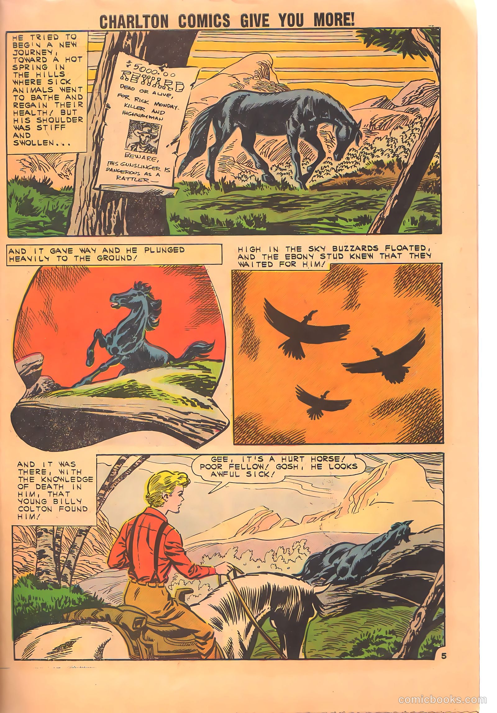 Black Fury #34 (1962) — page 27 of 36
