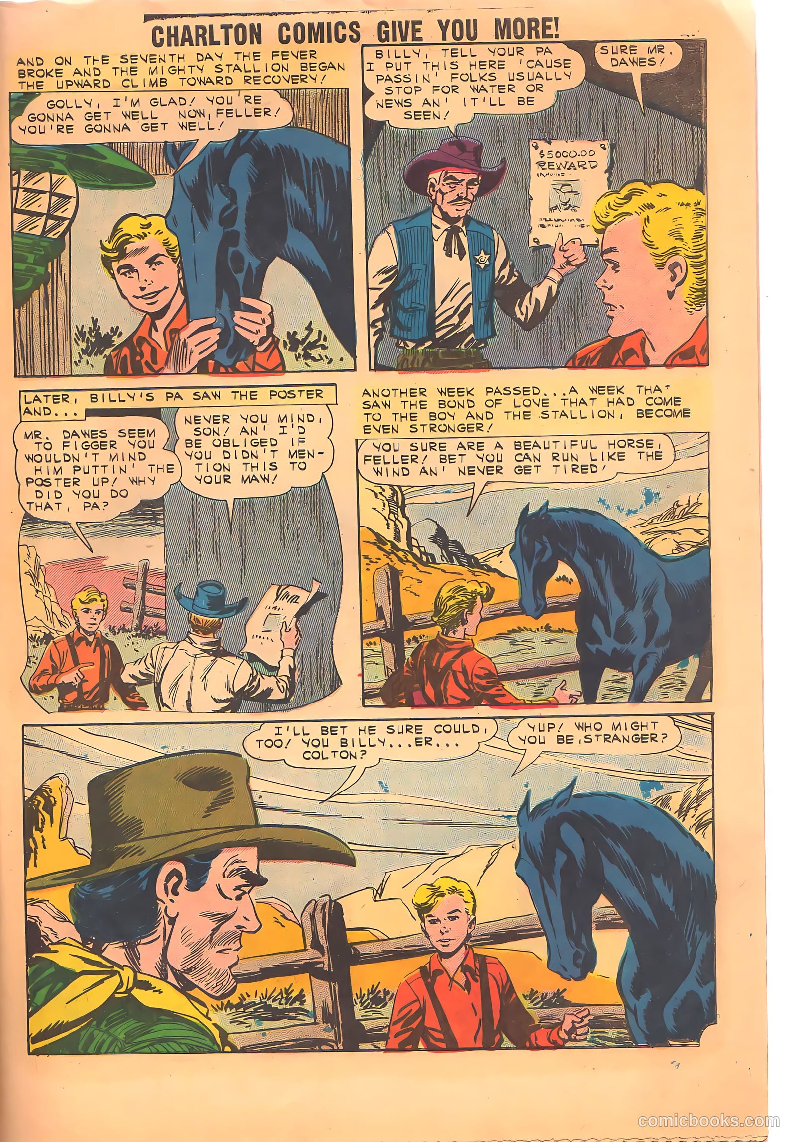 Black Fury #34 (1962) — page 29 of 36