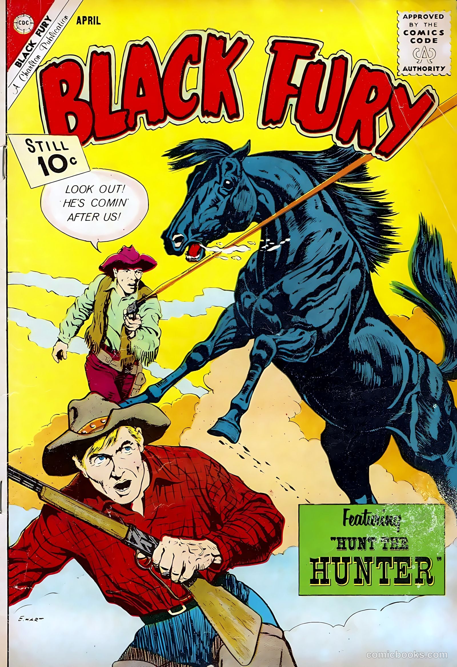 Black Fury #35