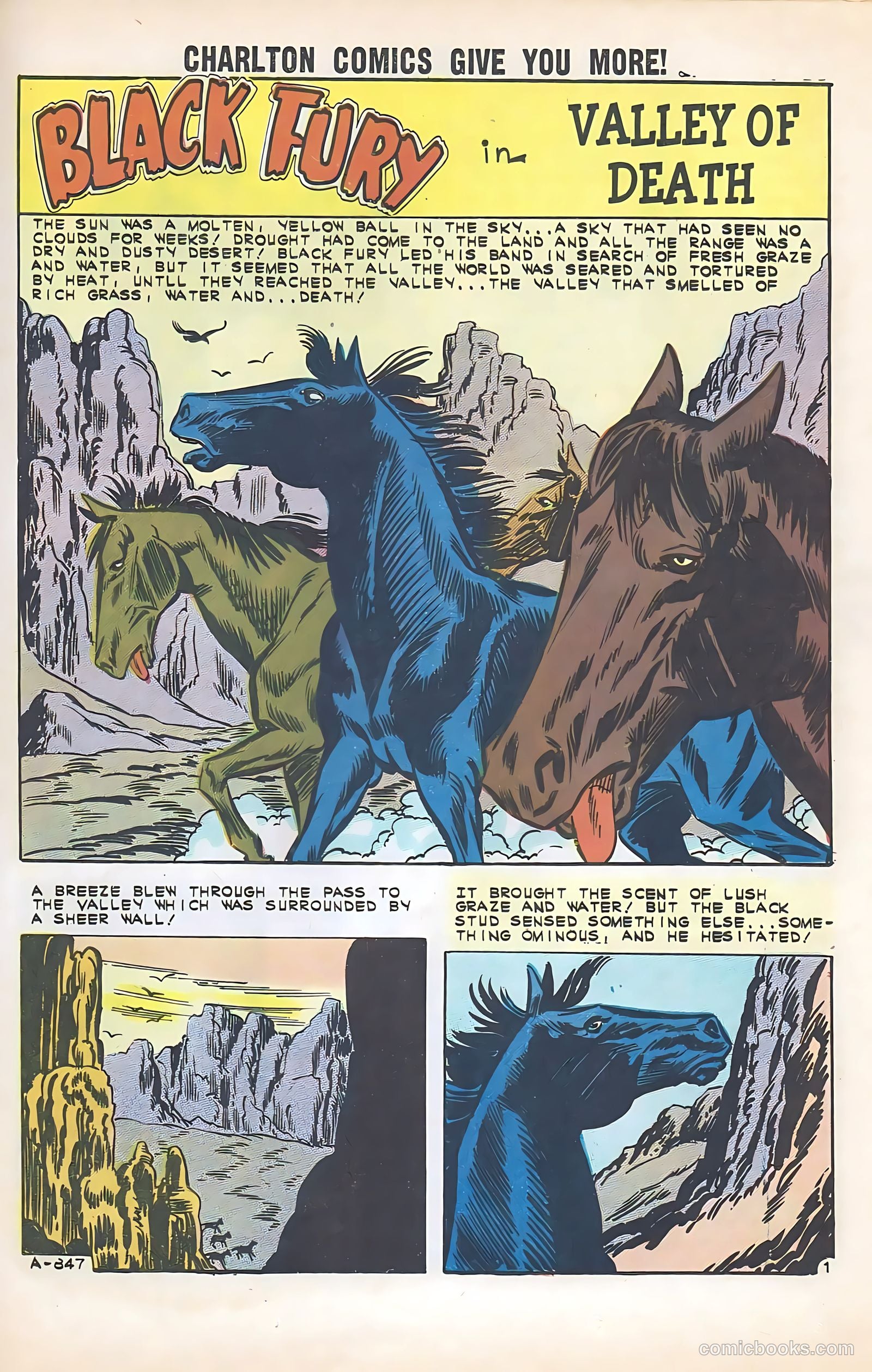 Black Fury #35 (1962) — page 25 of 36