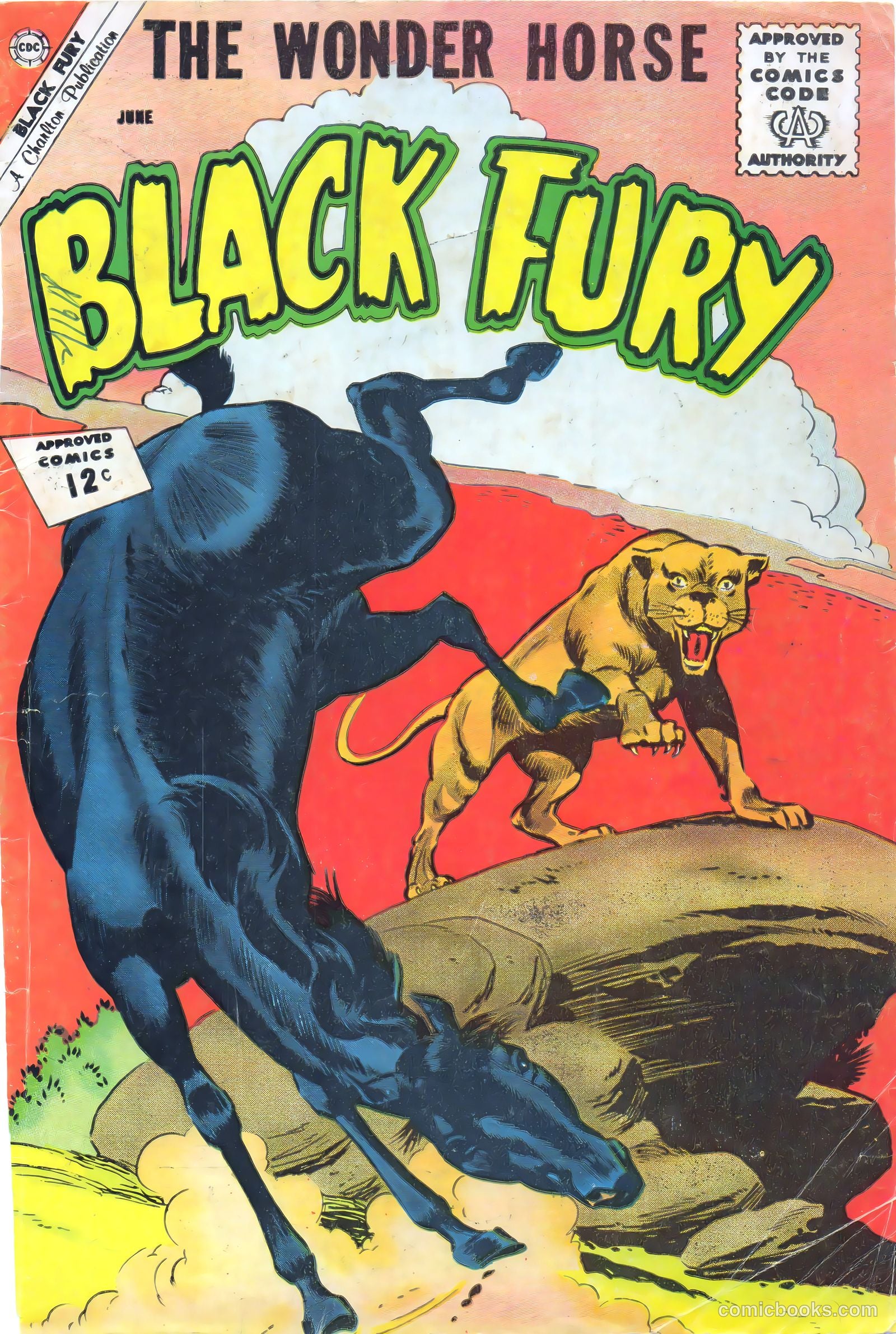 Black Fury #36