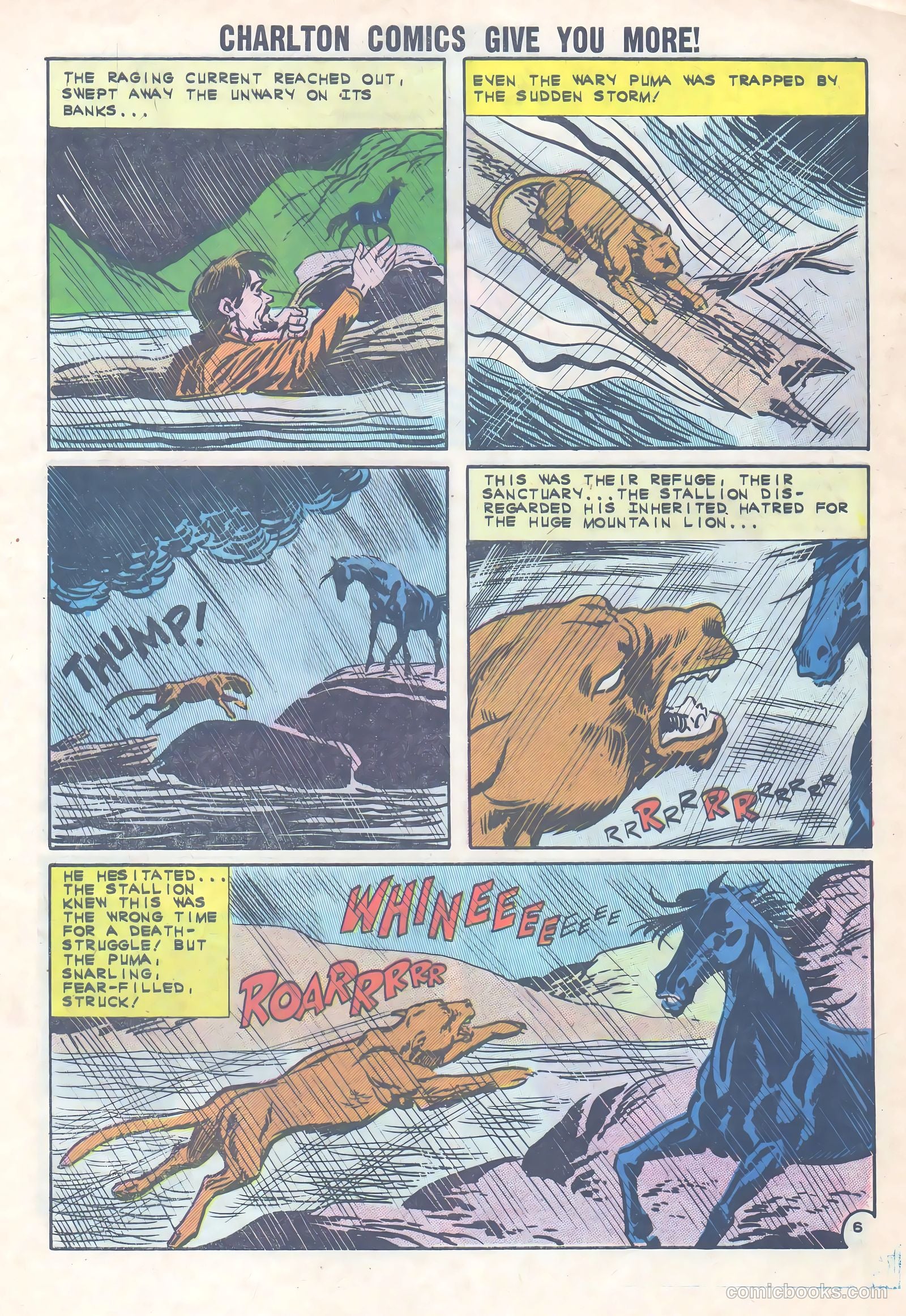 Black Fury #36 (1962) — page 9 of 36