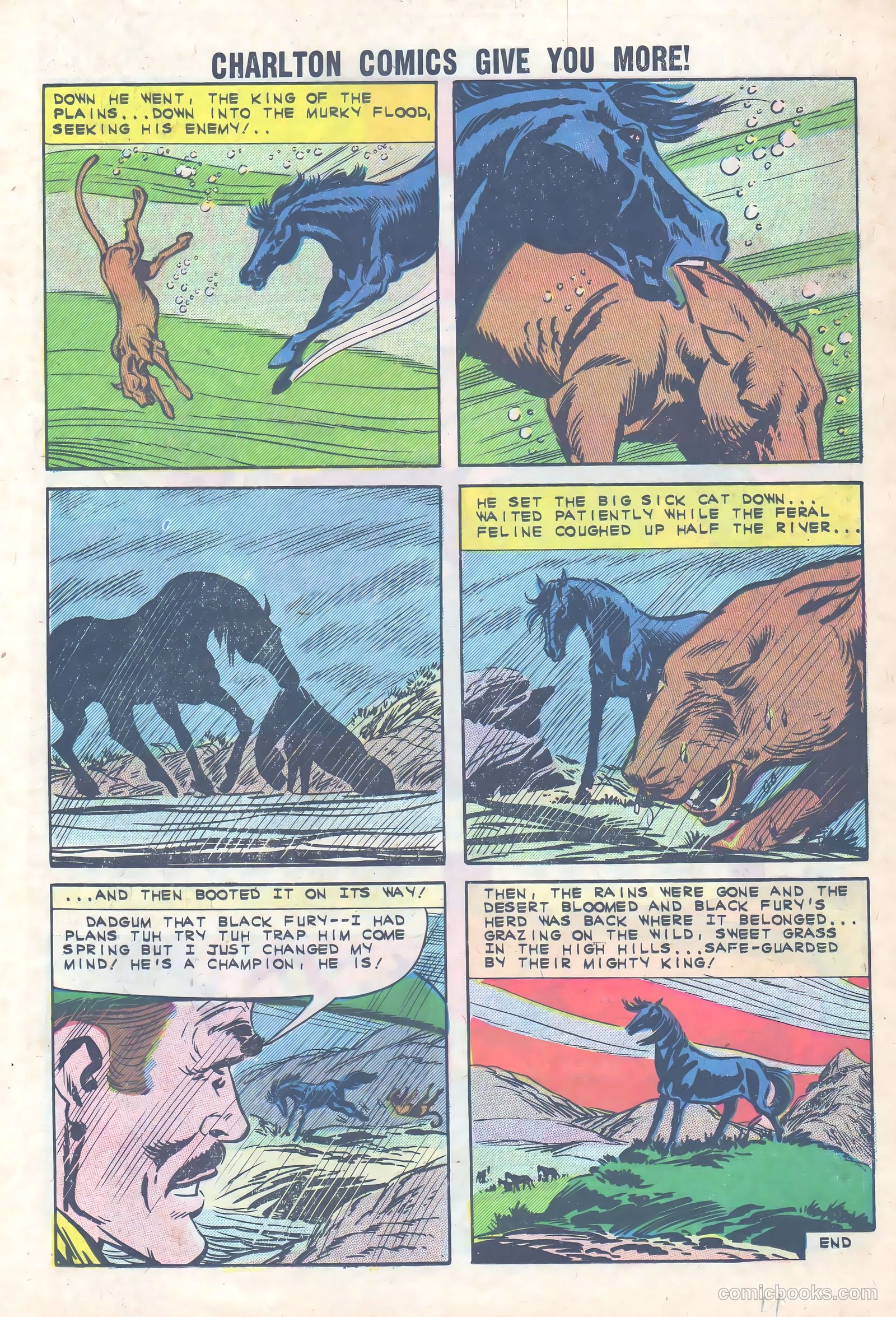 Black Fury #36 (1962) — page 11 of 36