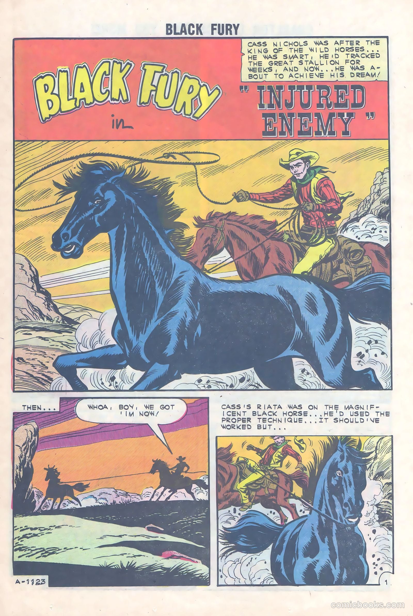 Black Fury #36 (1962) — page 12 of 36