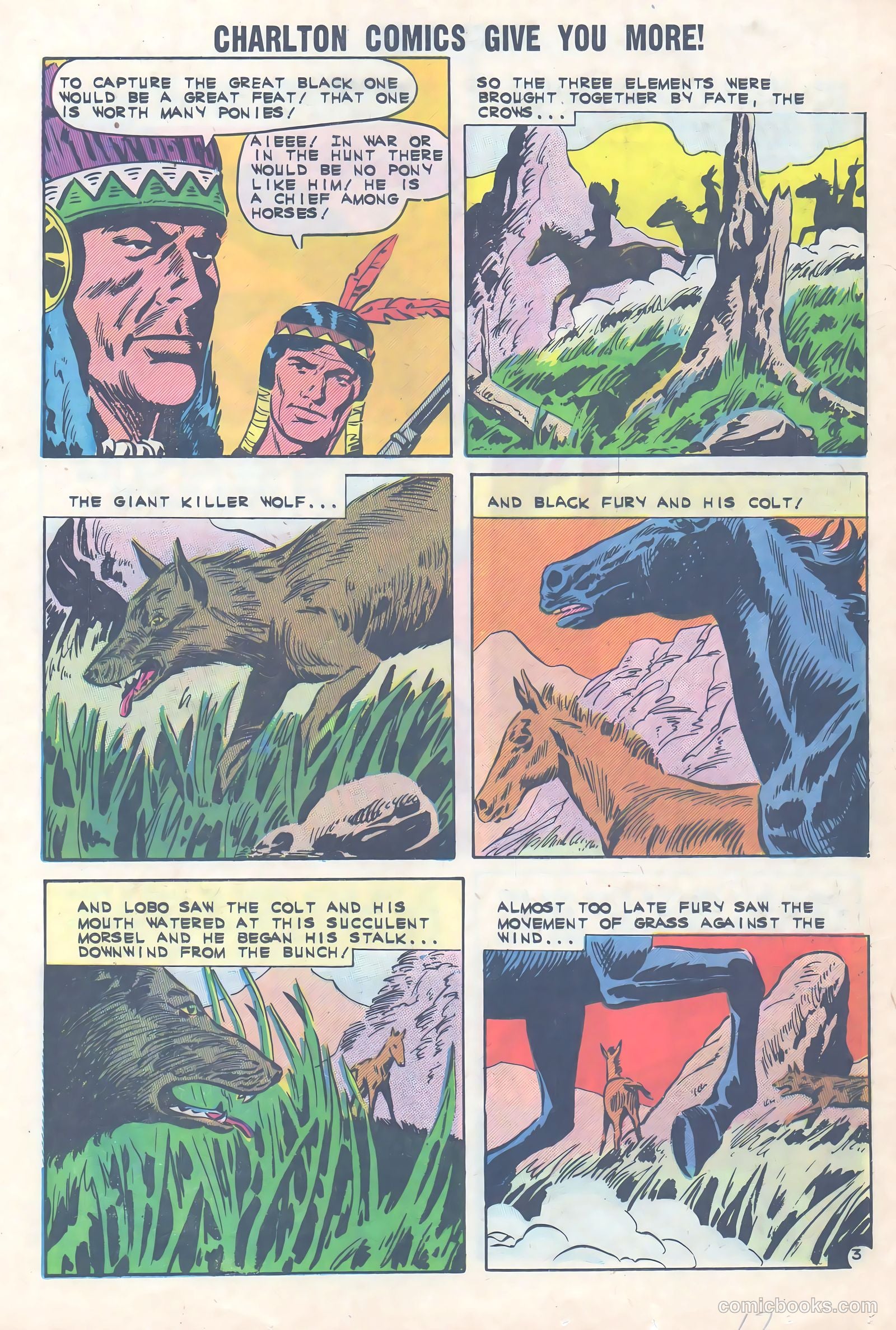 Black Fury #36 (1962) — page 17 of 36