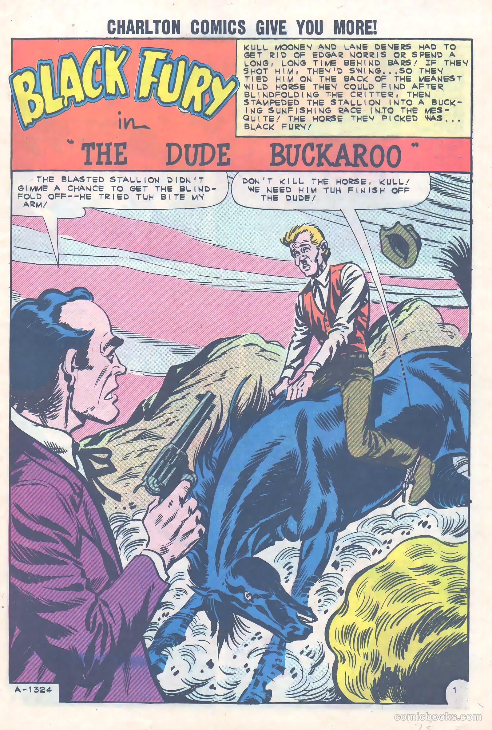 Black Fury #36 (1962) — page 25 of 36