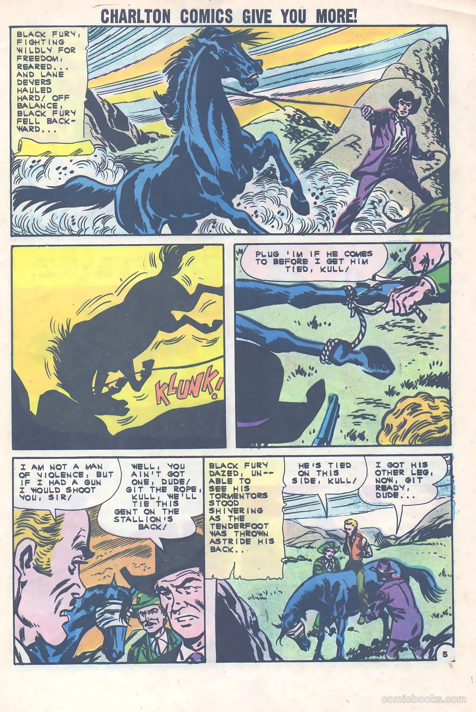 Black Fury #36 (1962) — page 29 of 36
