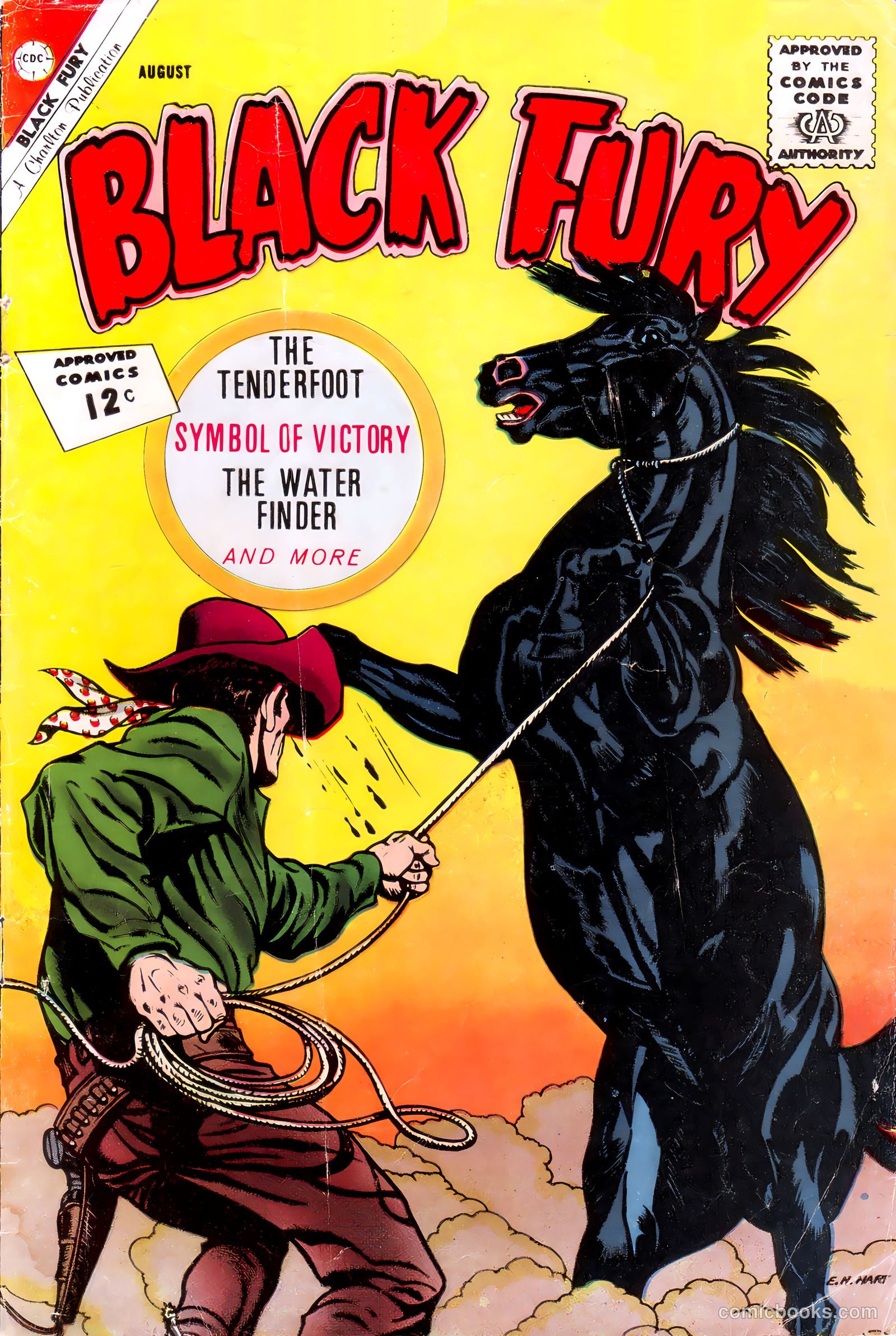 Black Fury #37