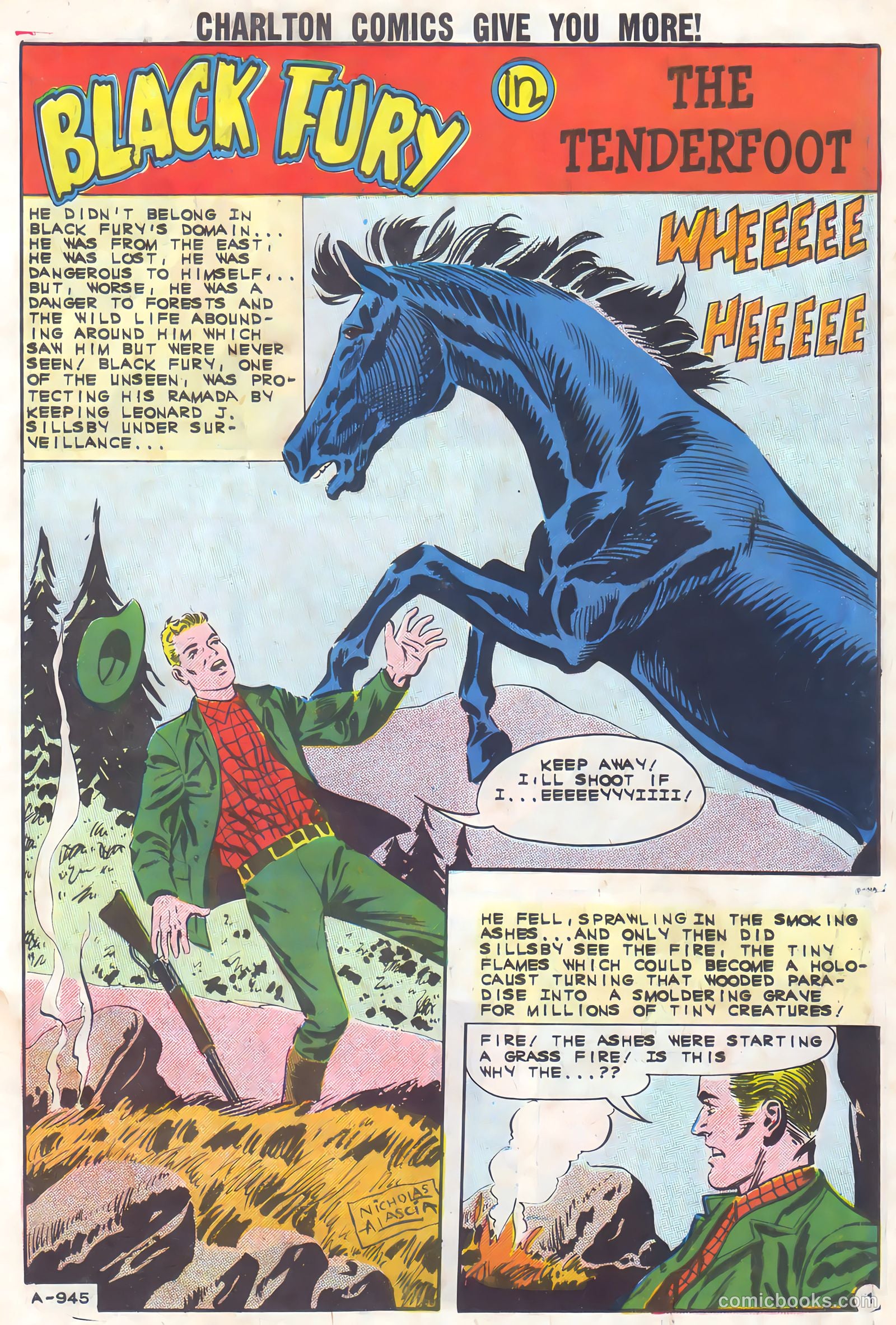 Black Fury #37 (1962) — page 3 of 36