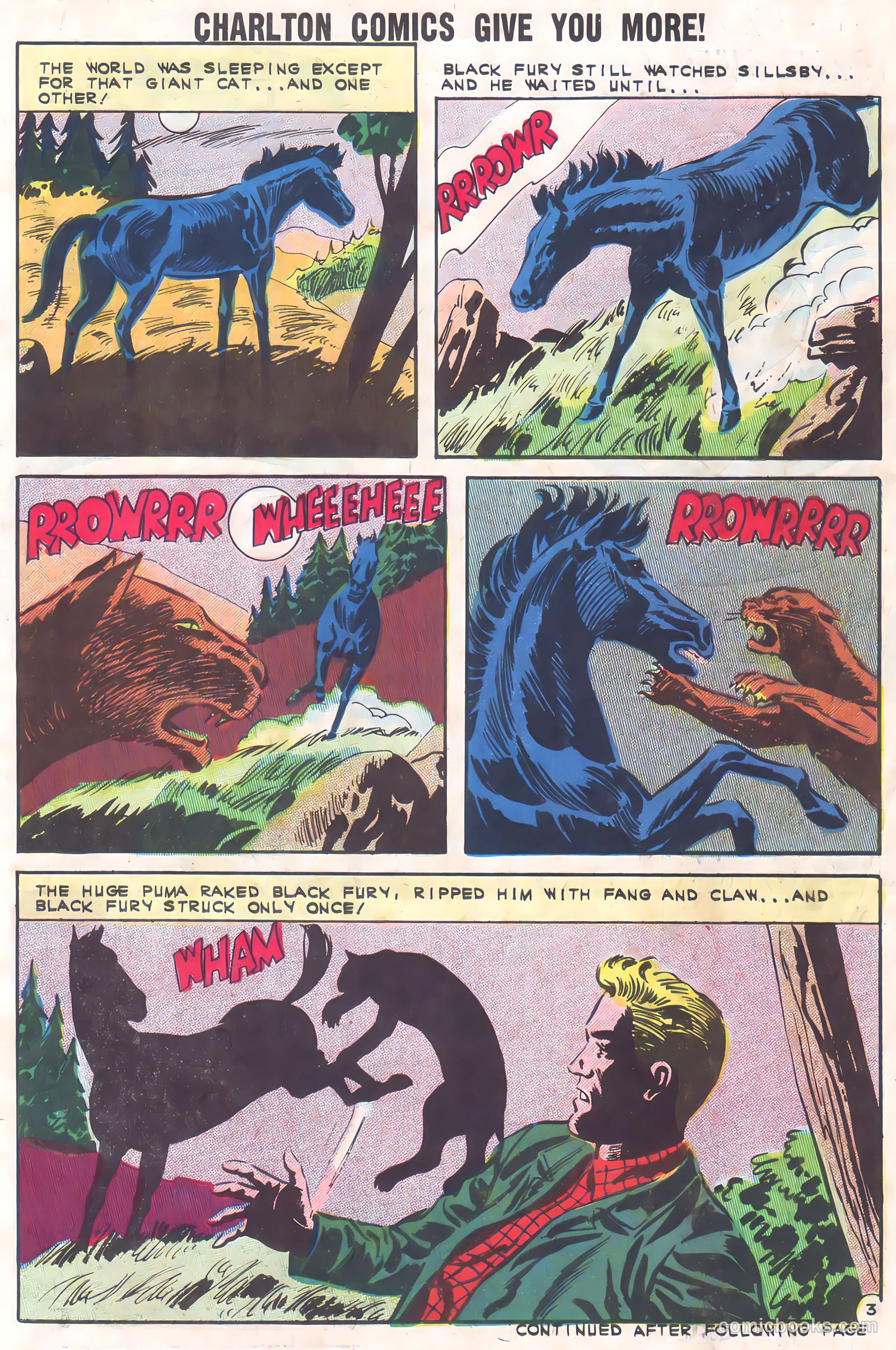 Black Fury #37 (1962) — page 5 of 36