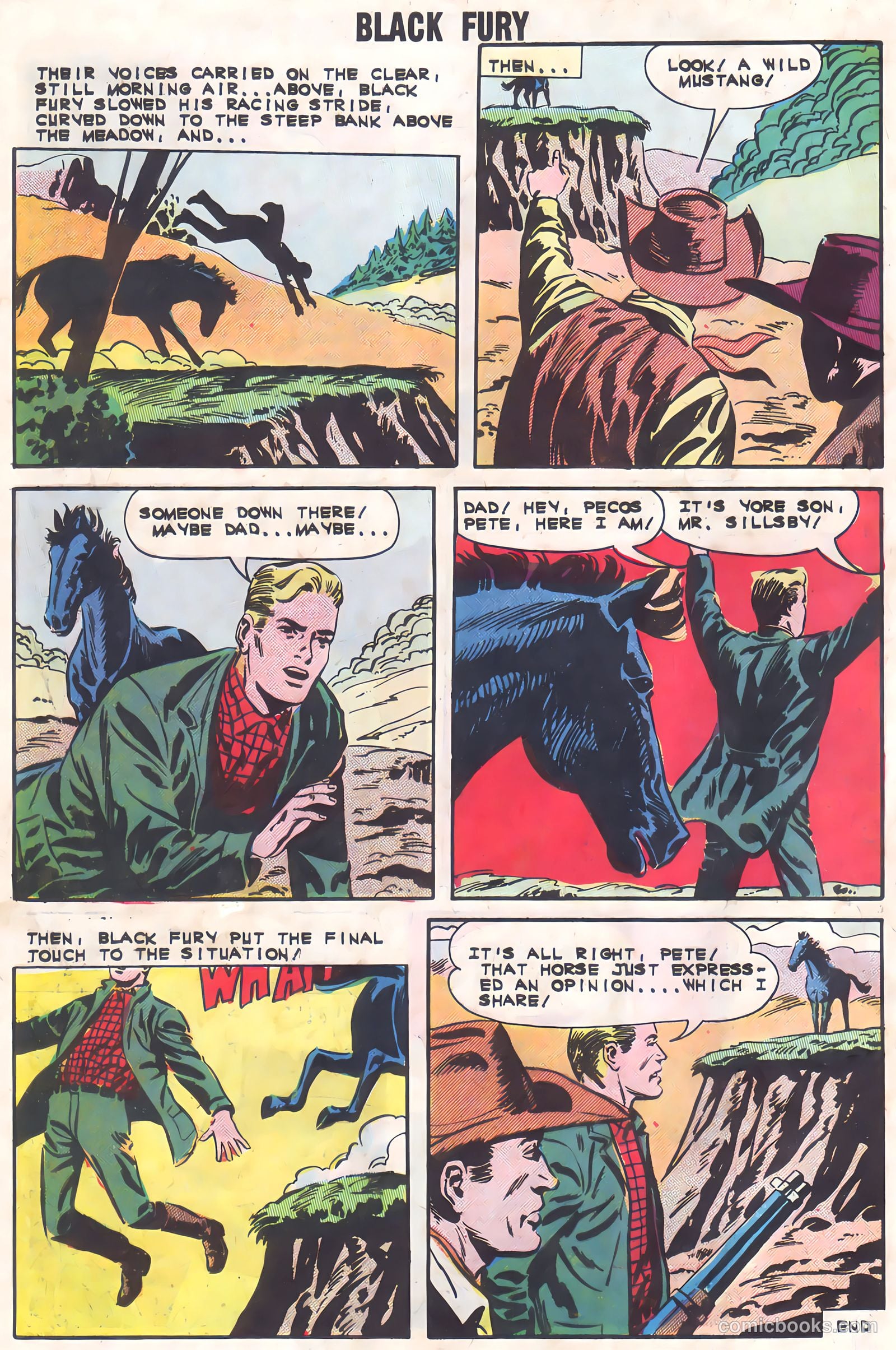 Black Fury #37 (1962) — page 8 of 36