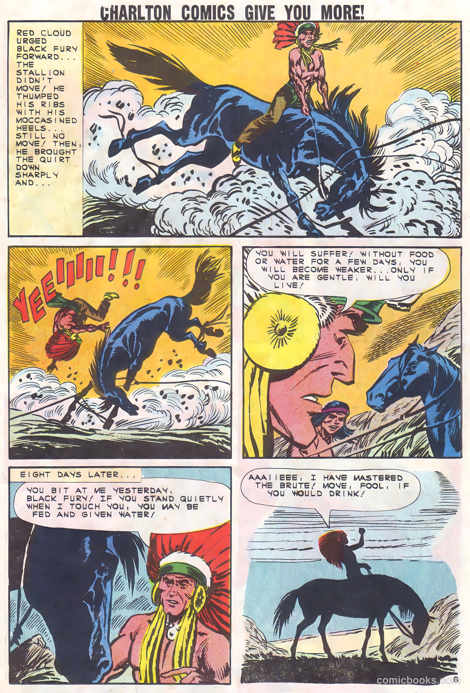 Black Fury #37 (1962) — page 23 of 36