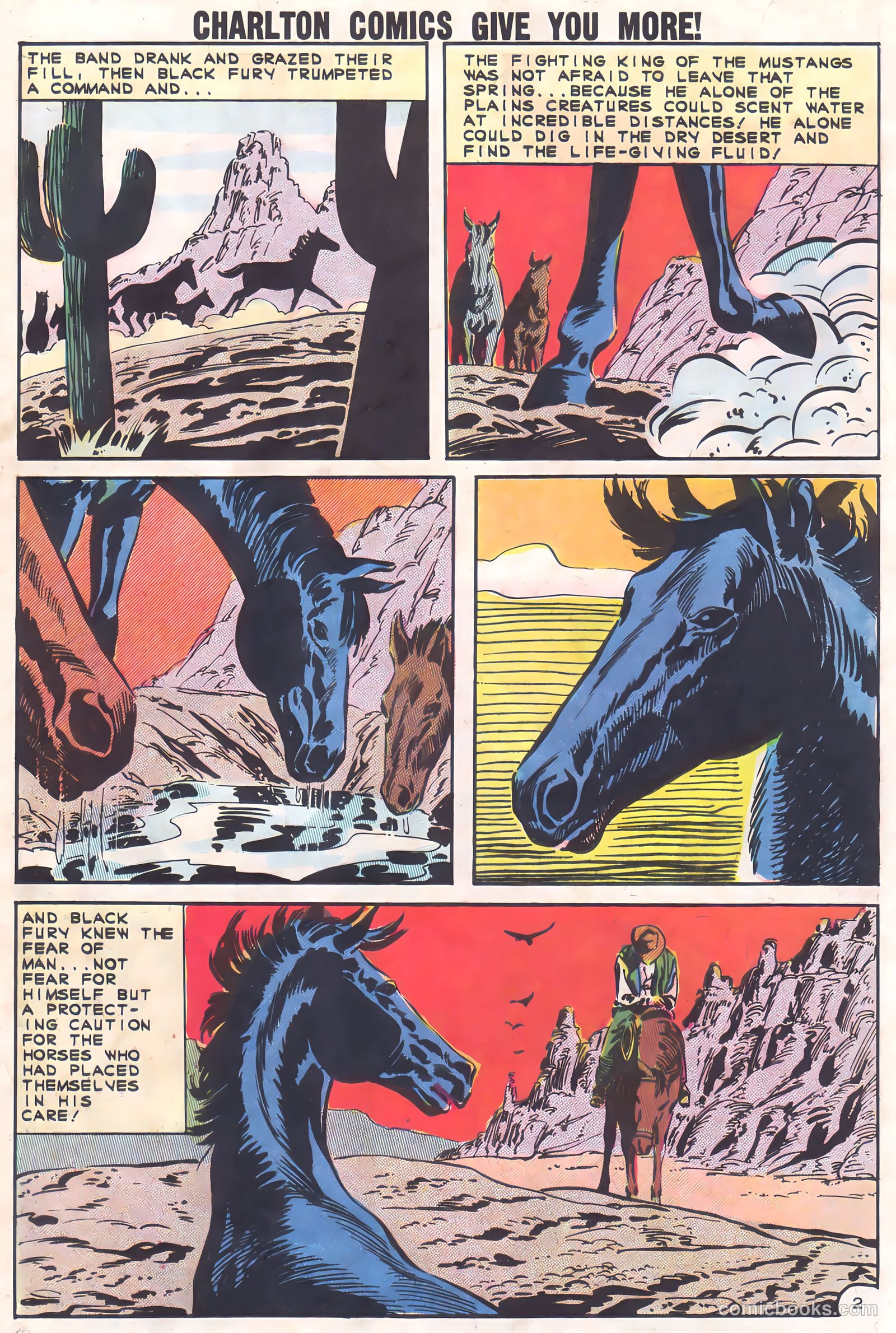 Black Fury #37 (1962) — page 29 of 36
