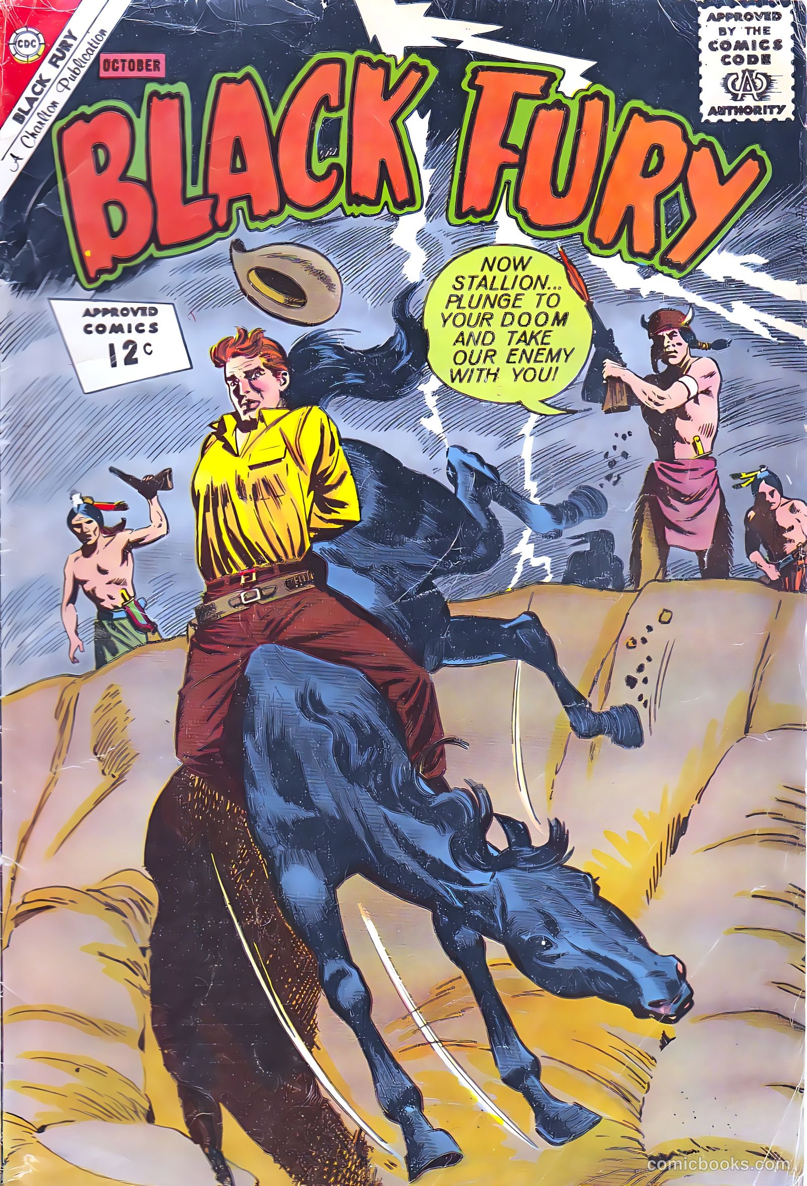 Black Fury #38