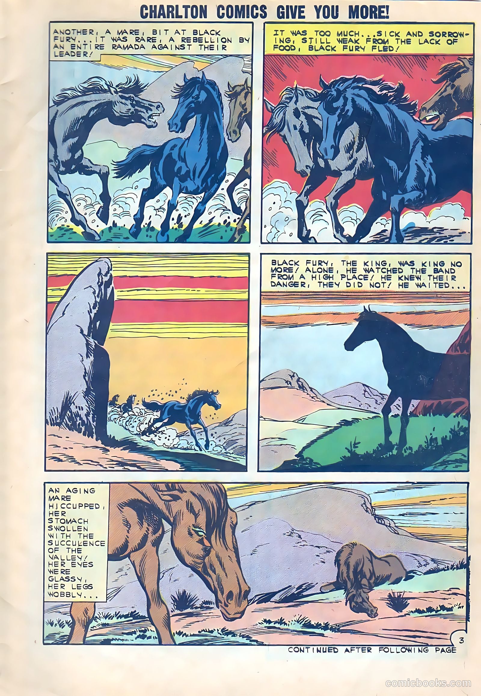 Black Fury #38 (1962) — page 5 of 36