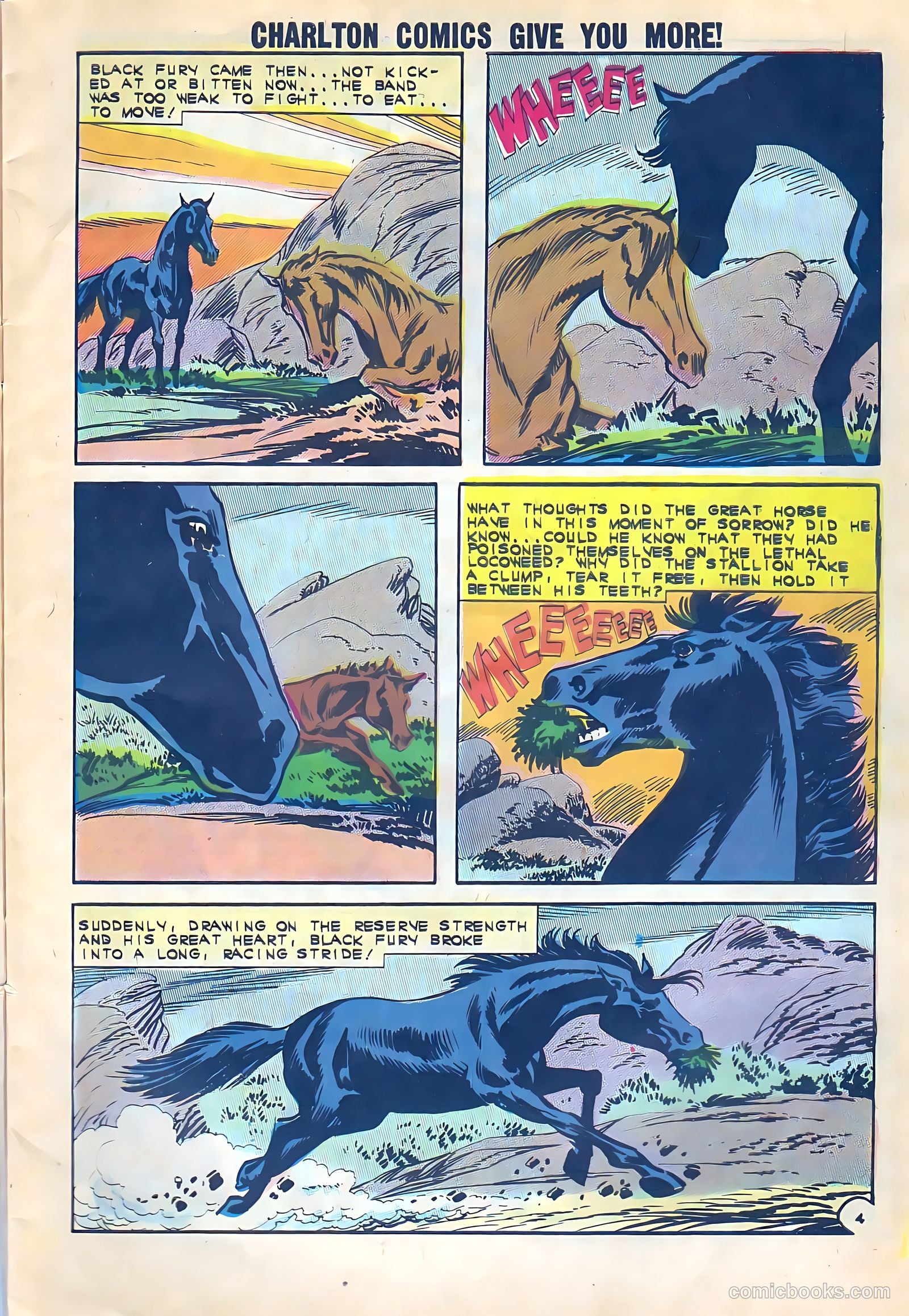 Black Fury #38 (1962) — page 7 of 36