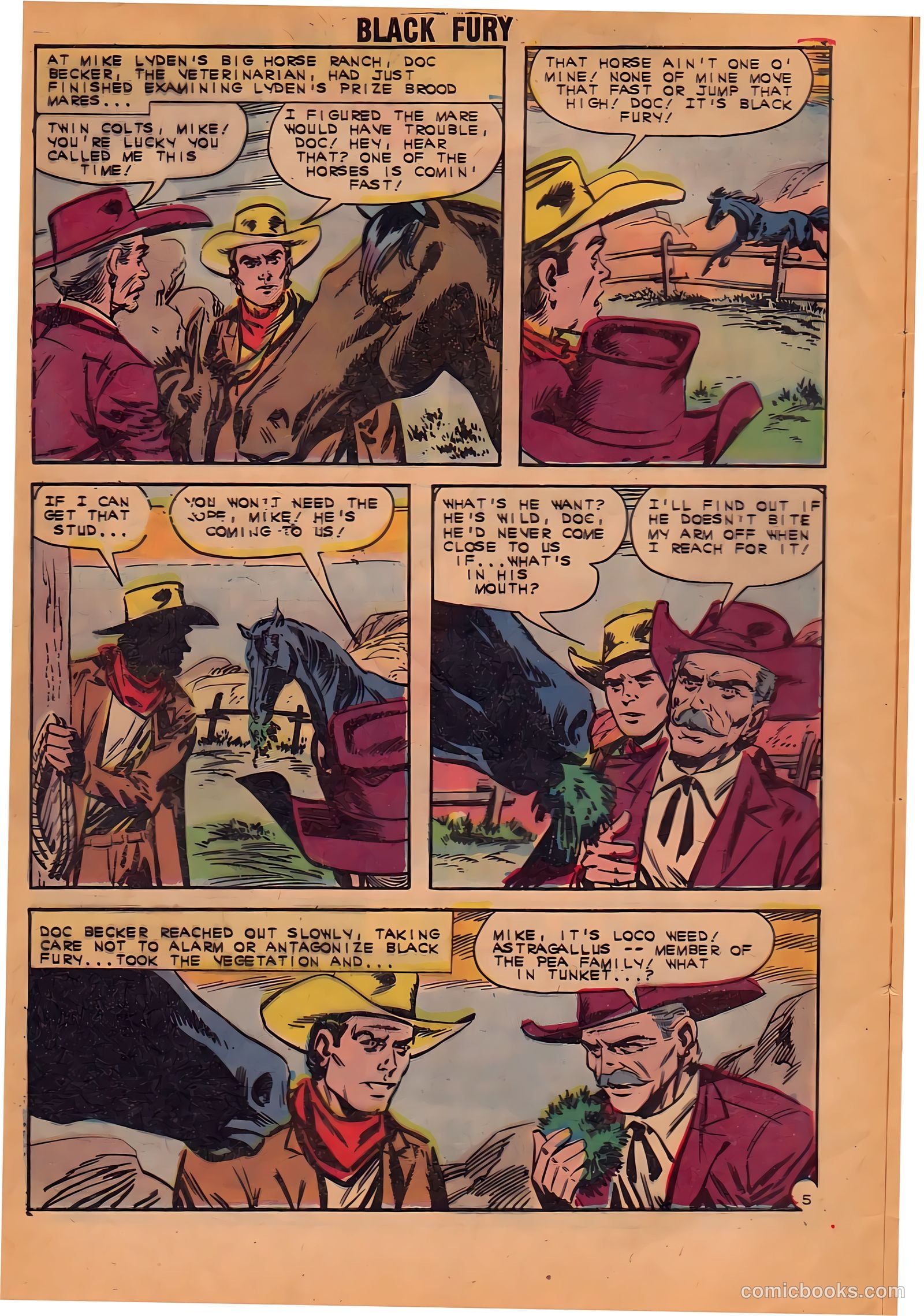 Black Fury #38 (1962) — page 8 of 36