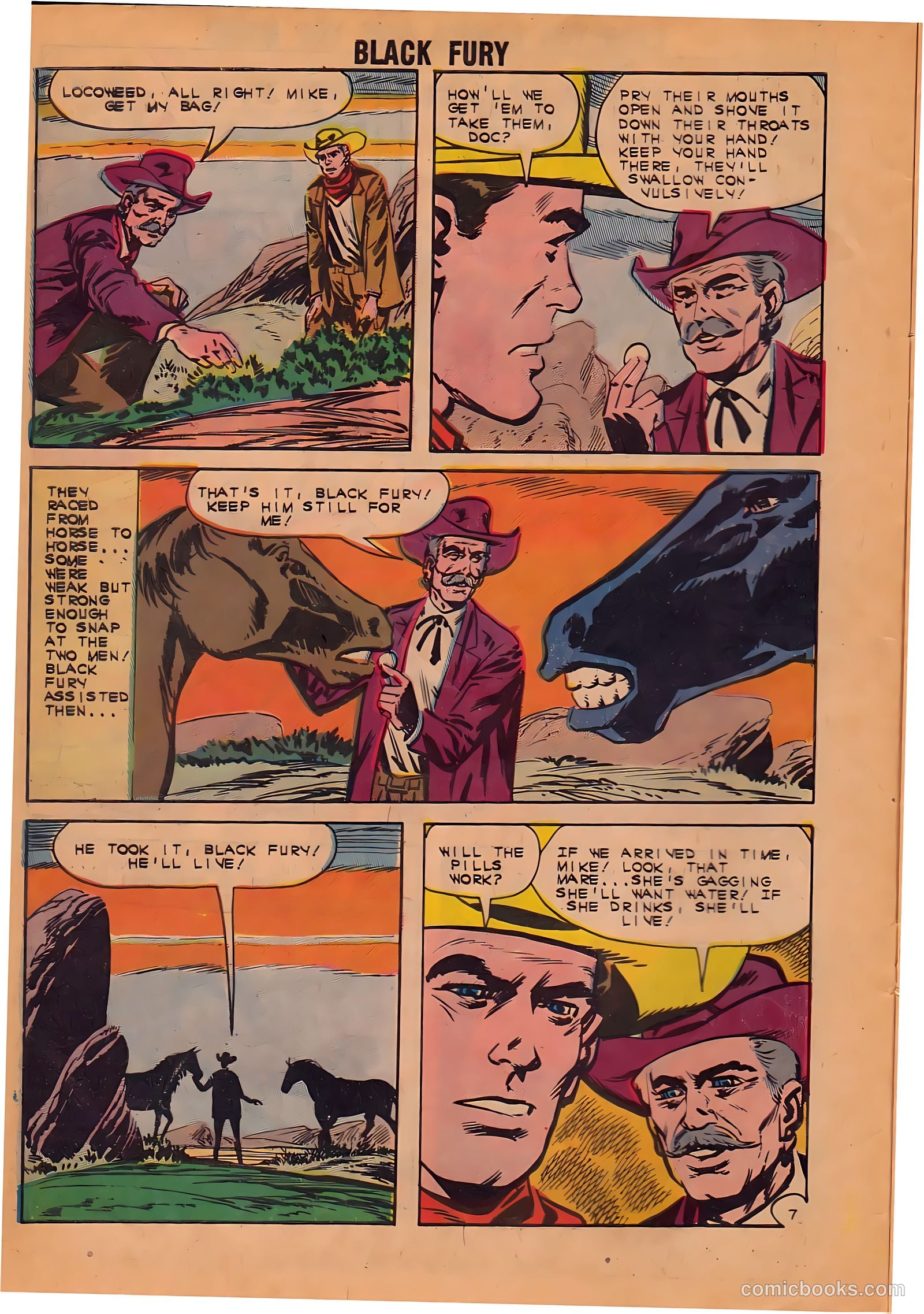Black Fury #38 (1962) — page 10 of 36