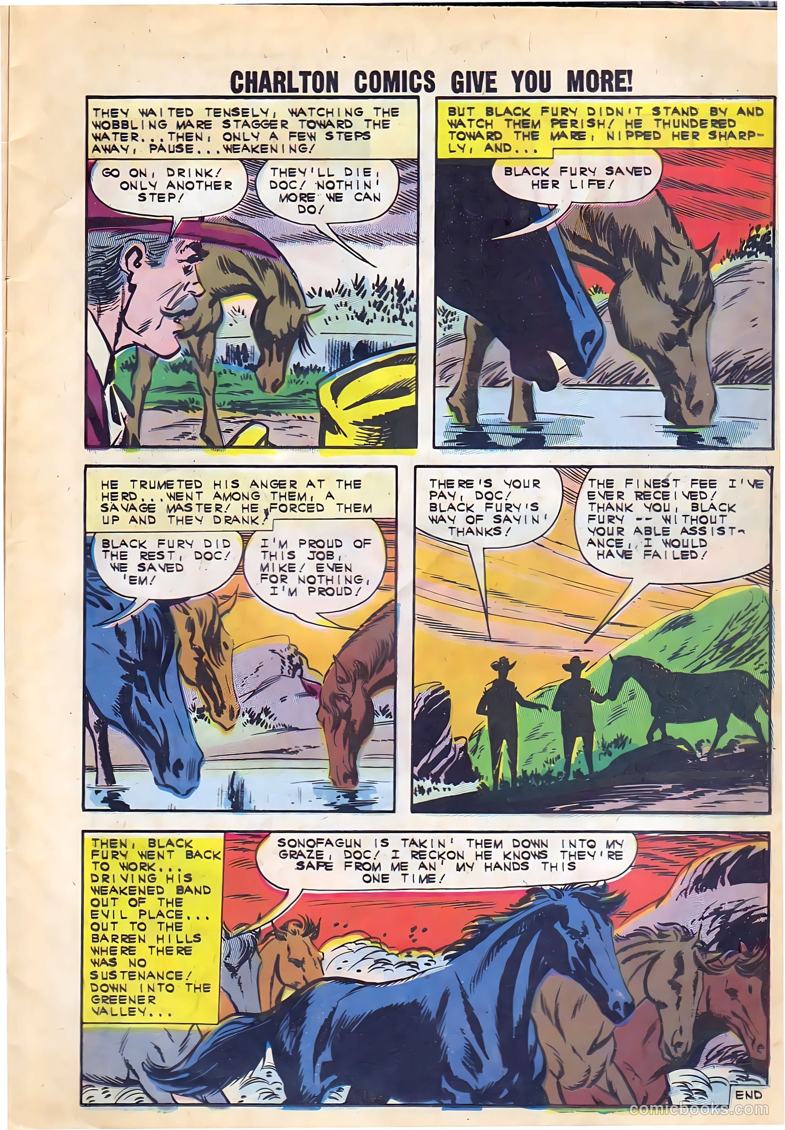 Black Fury #38 (1962) — page 11 of 36