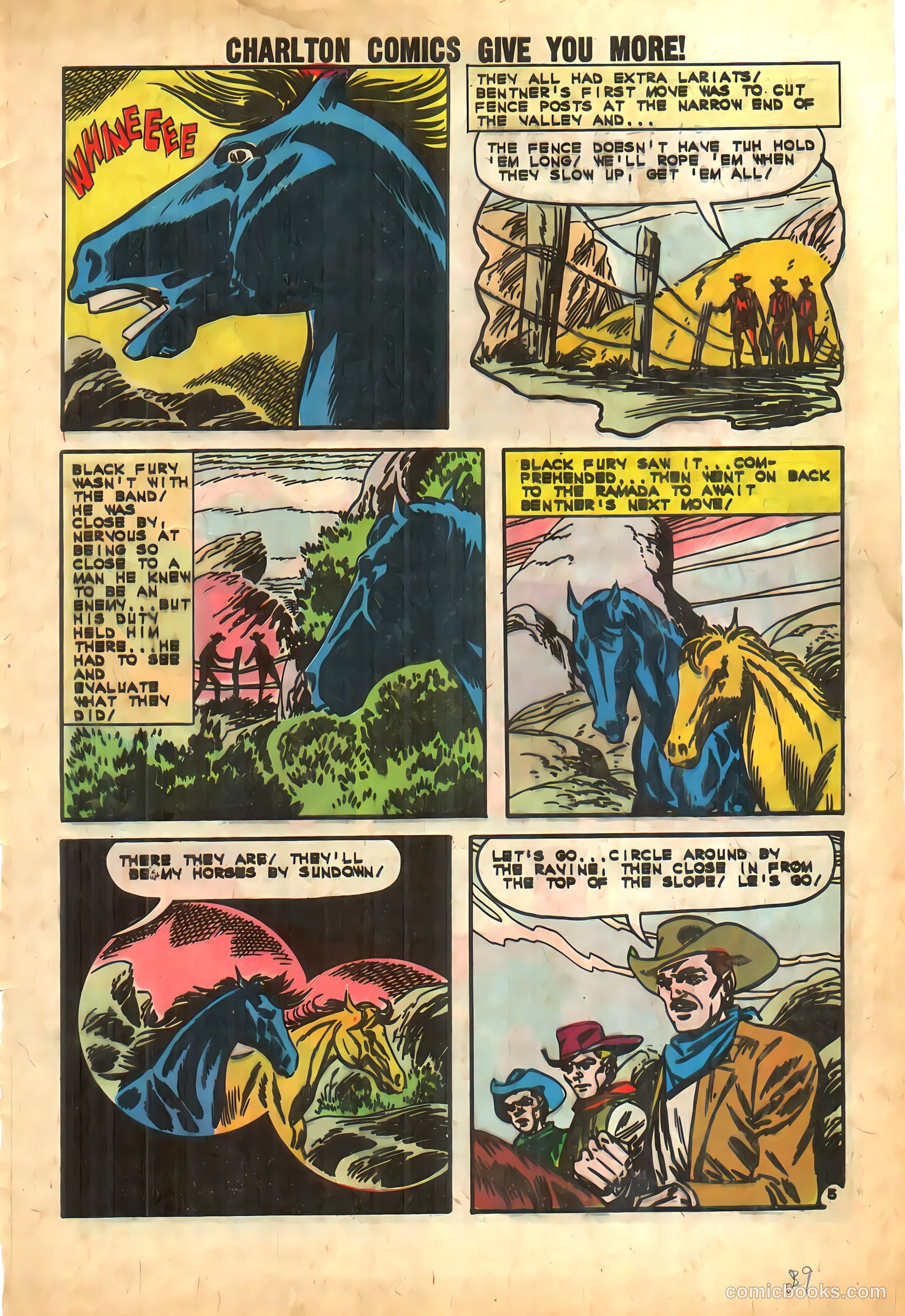 Black Fury #39 (1962) — page 29 of 36