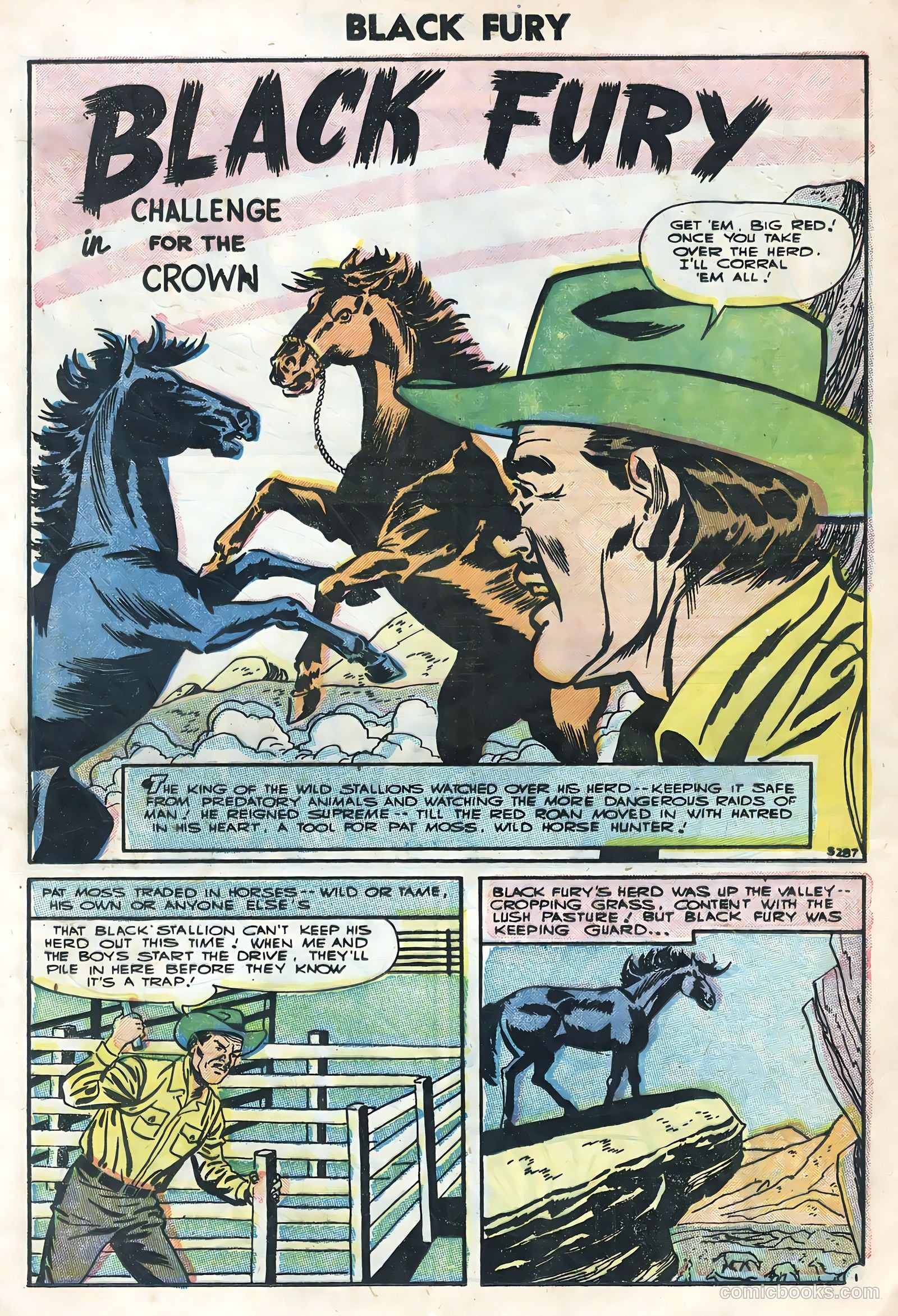 Black Fury #4 (1956) — page 13 of 36