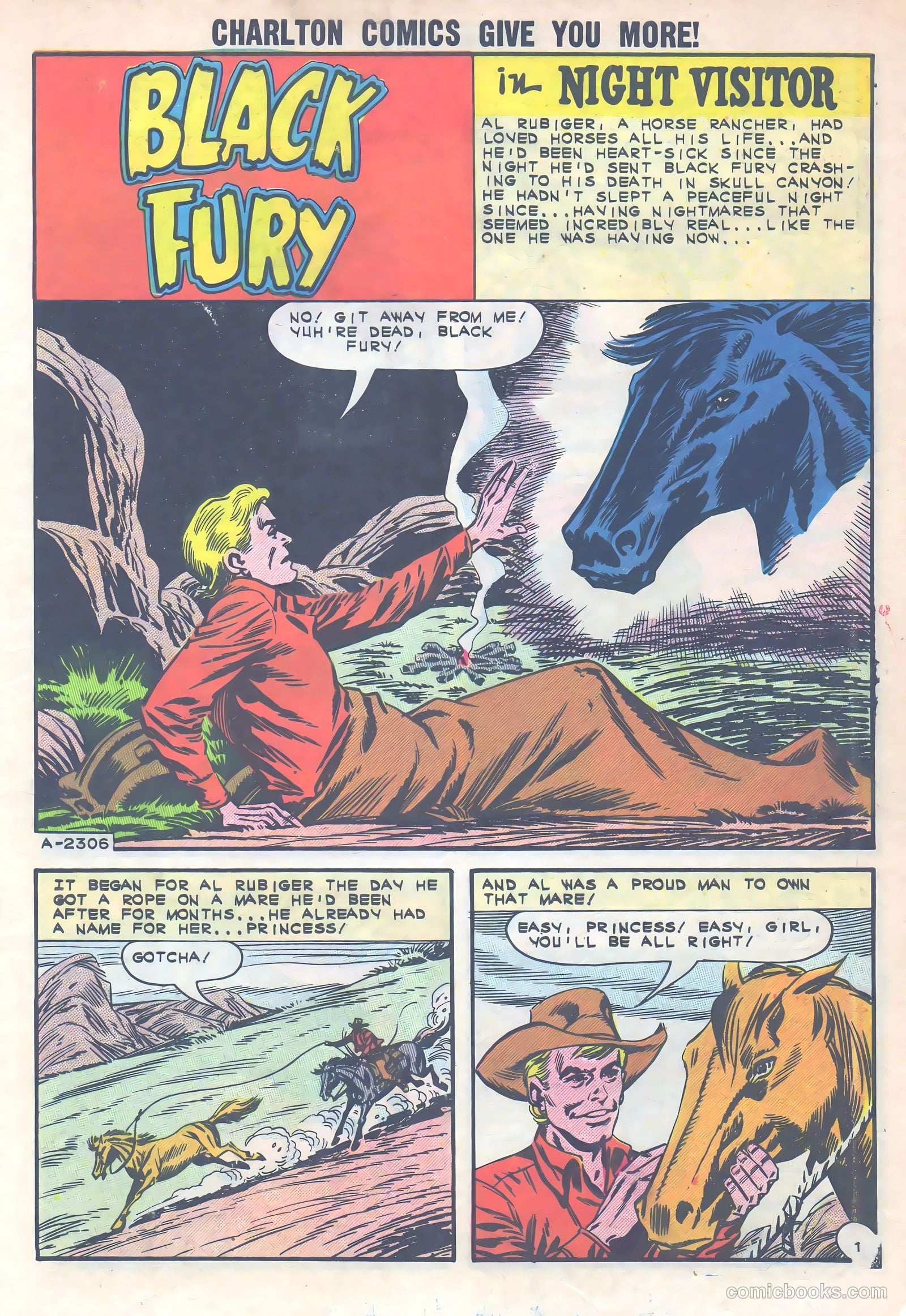 Black Fury #40 (1963) — page 3 of 36