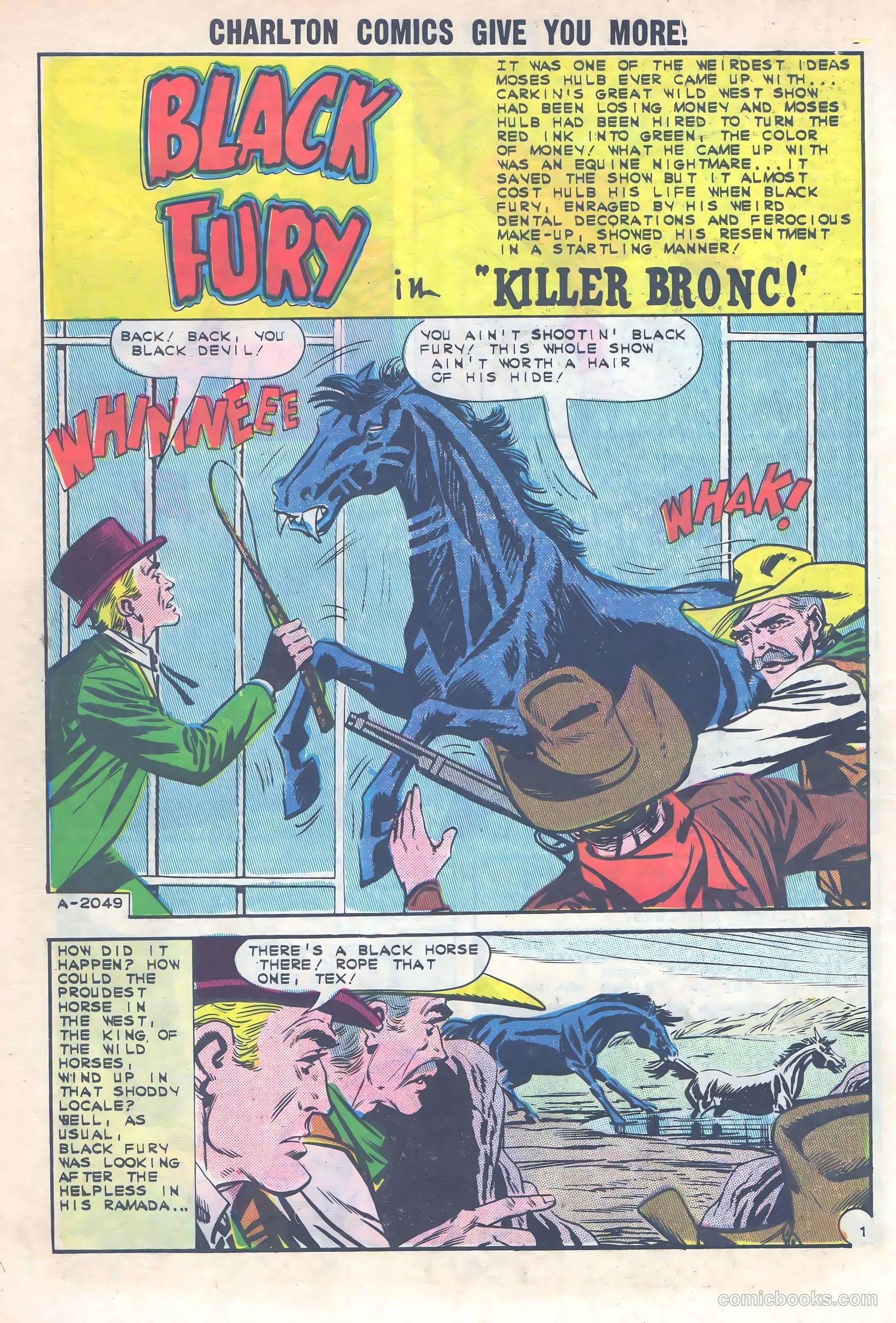 Black Fury #40 (1963) — page 10 of 36