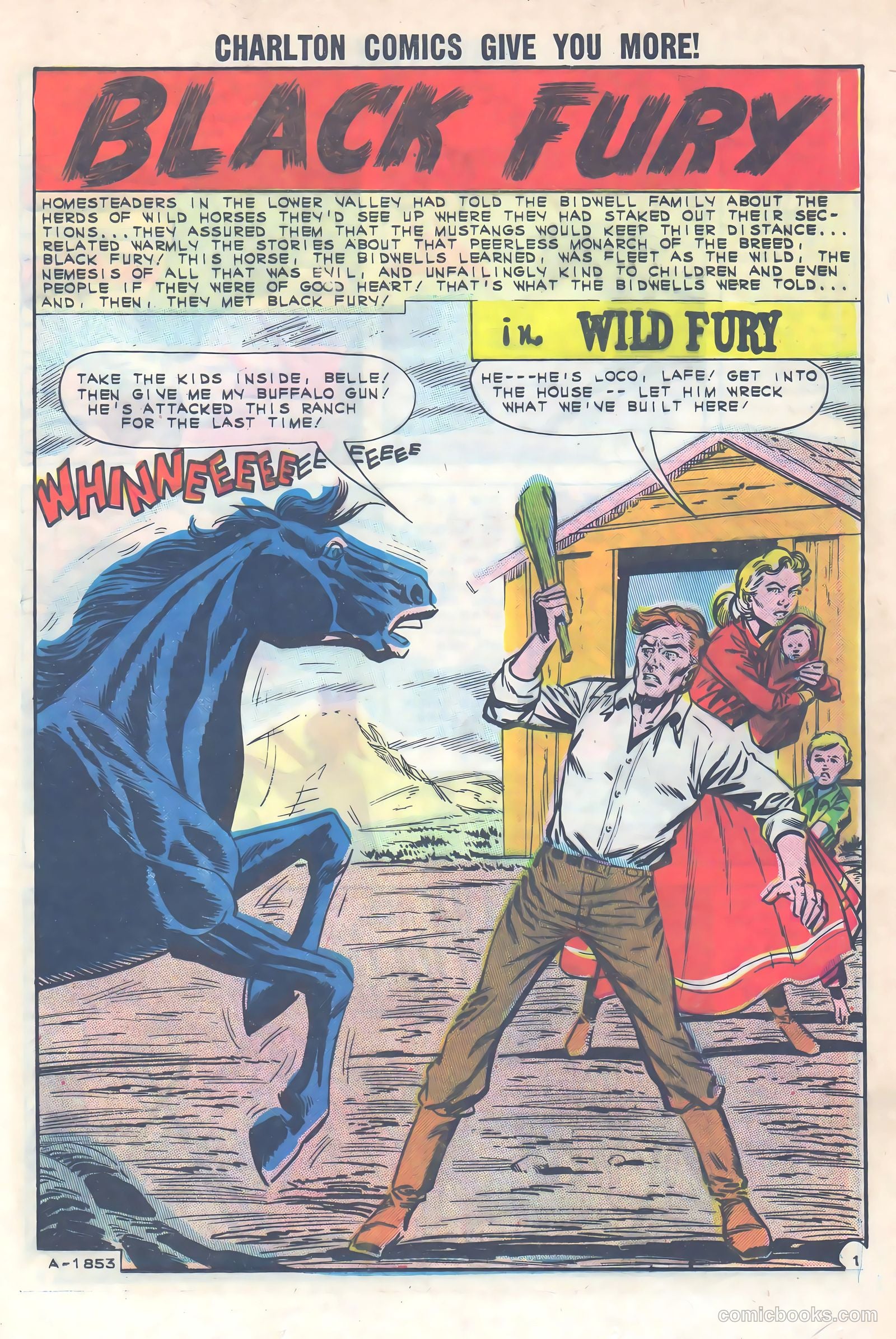 Black Fury #40 (1963) — page 25 of 36