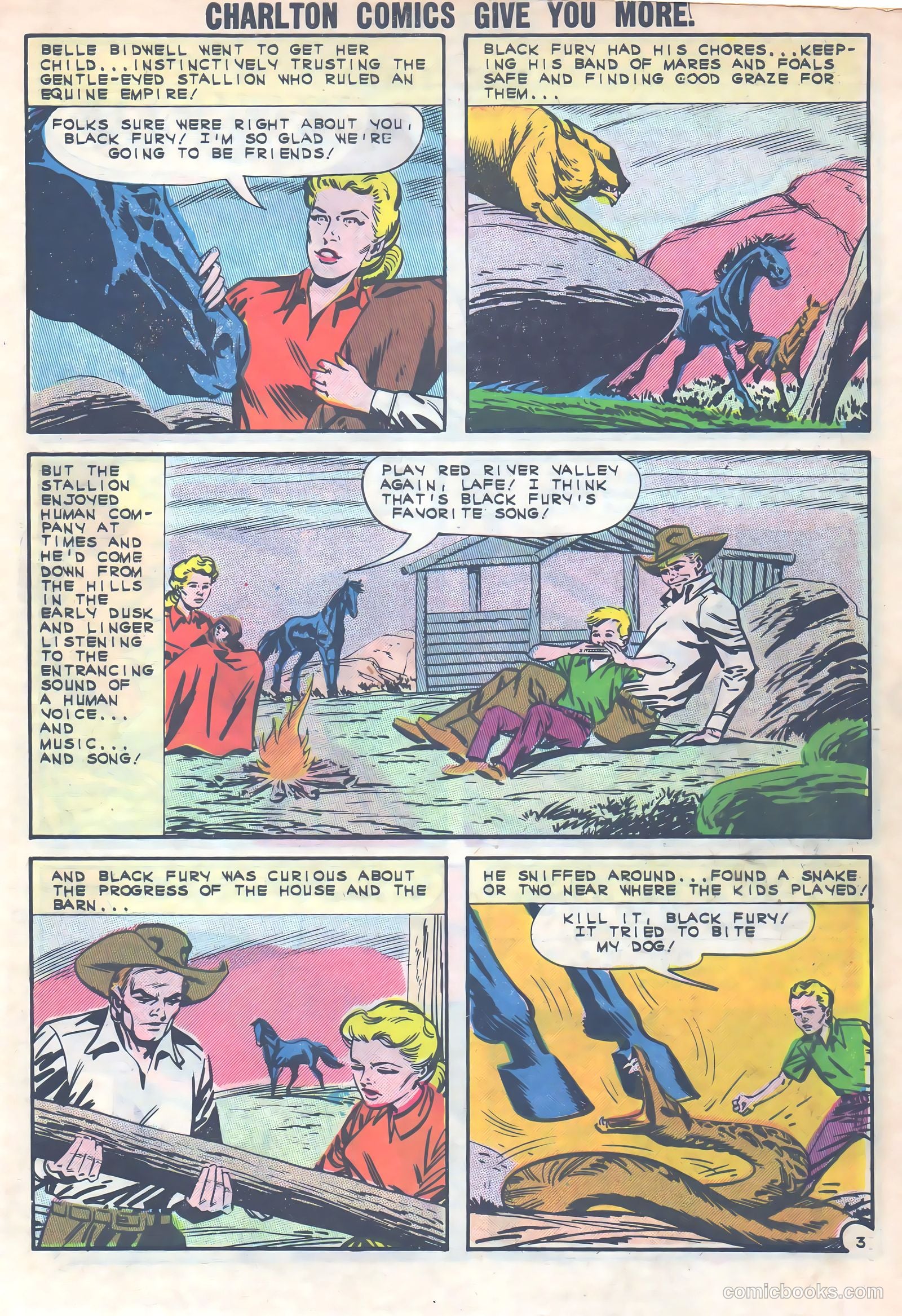 Black Fury #40 (1963) — page 27 of 36