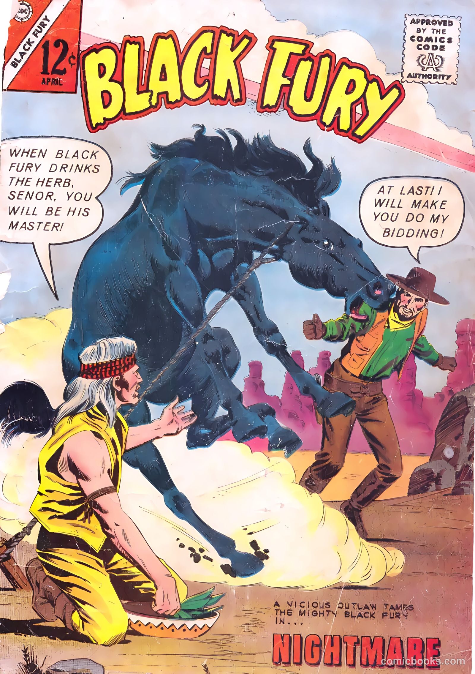Black Fury #41