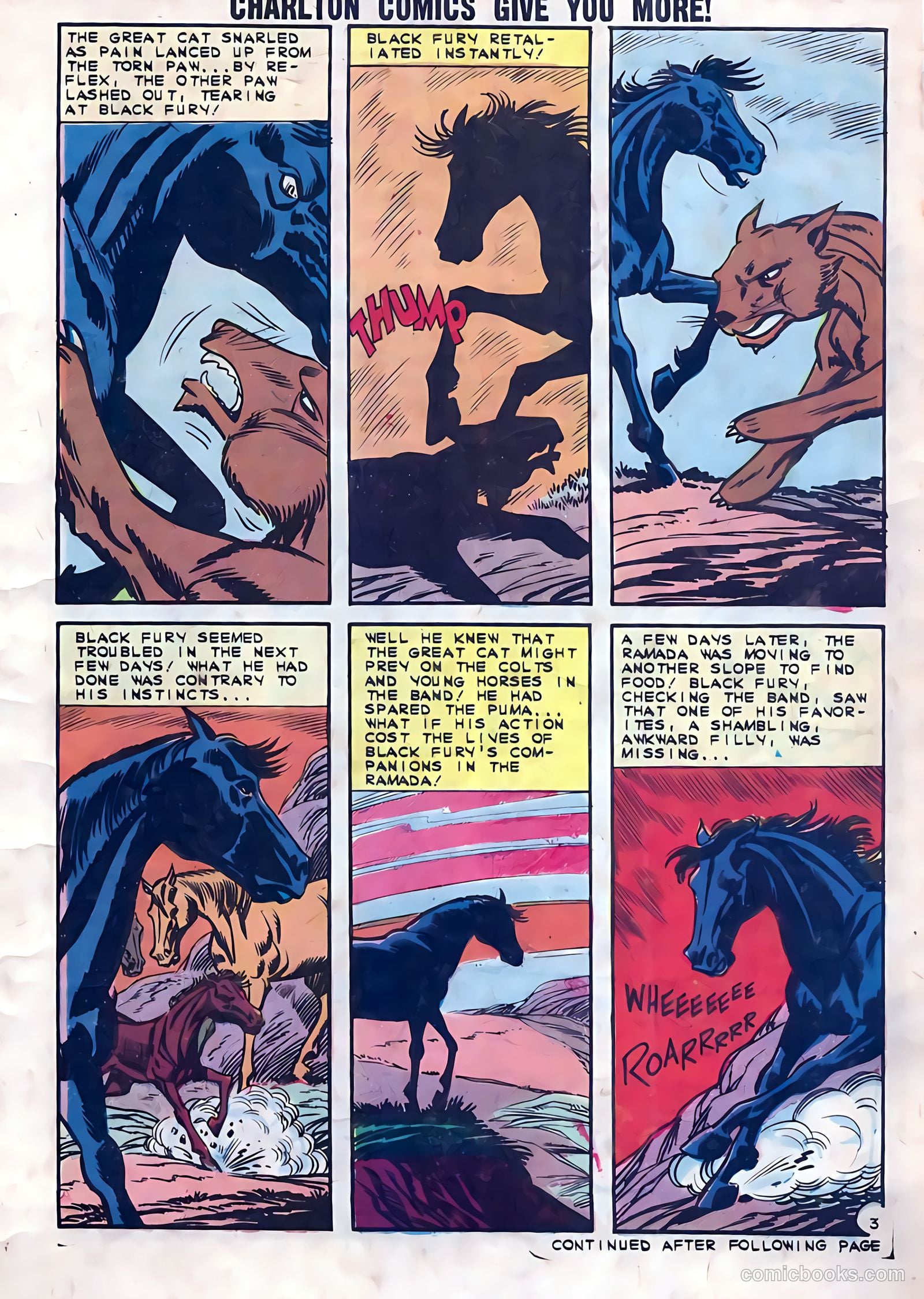 Black Fury #41 (1963) — page 5 of 36