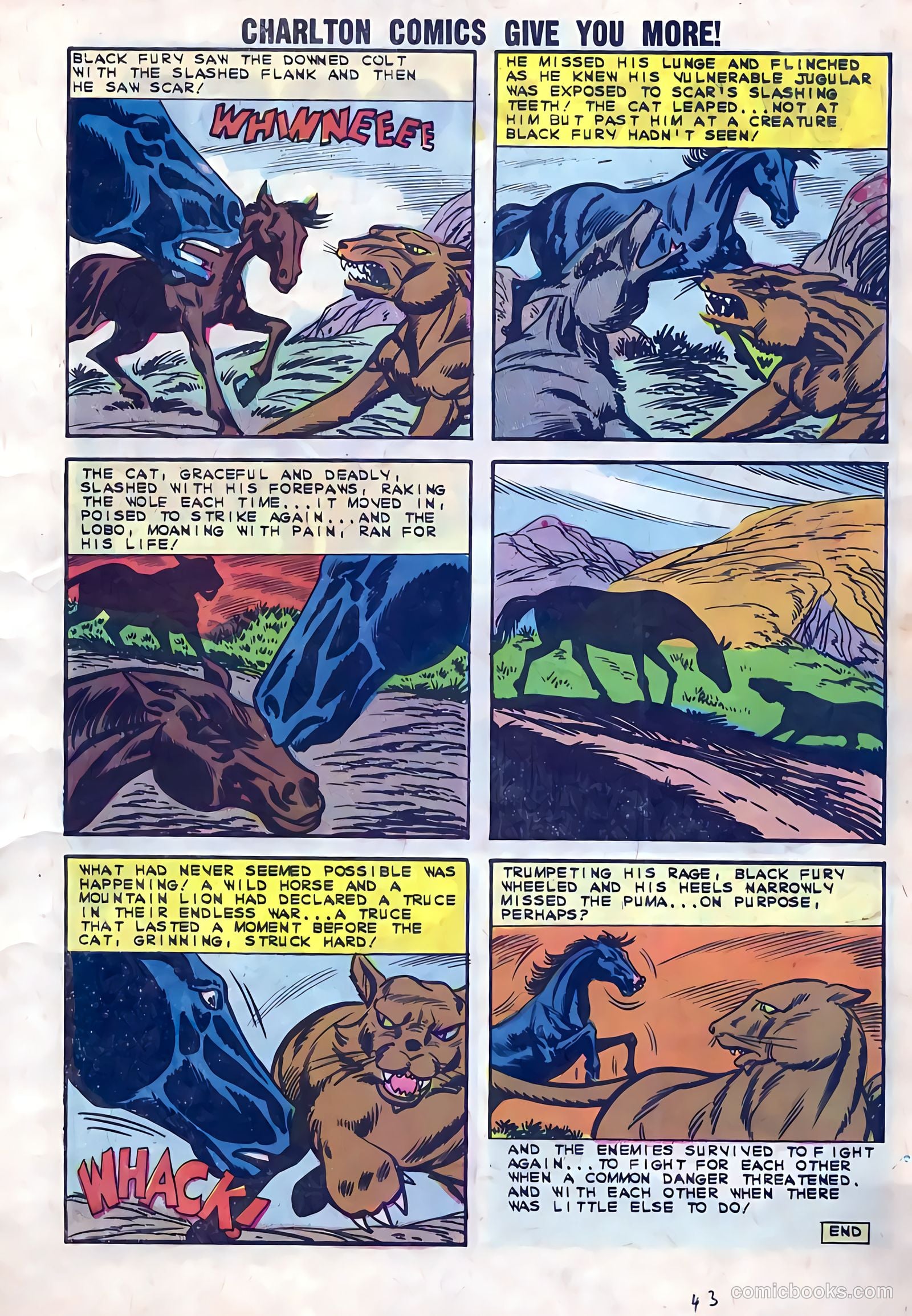 Black Fury #41 (1963) — page 7 of 36