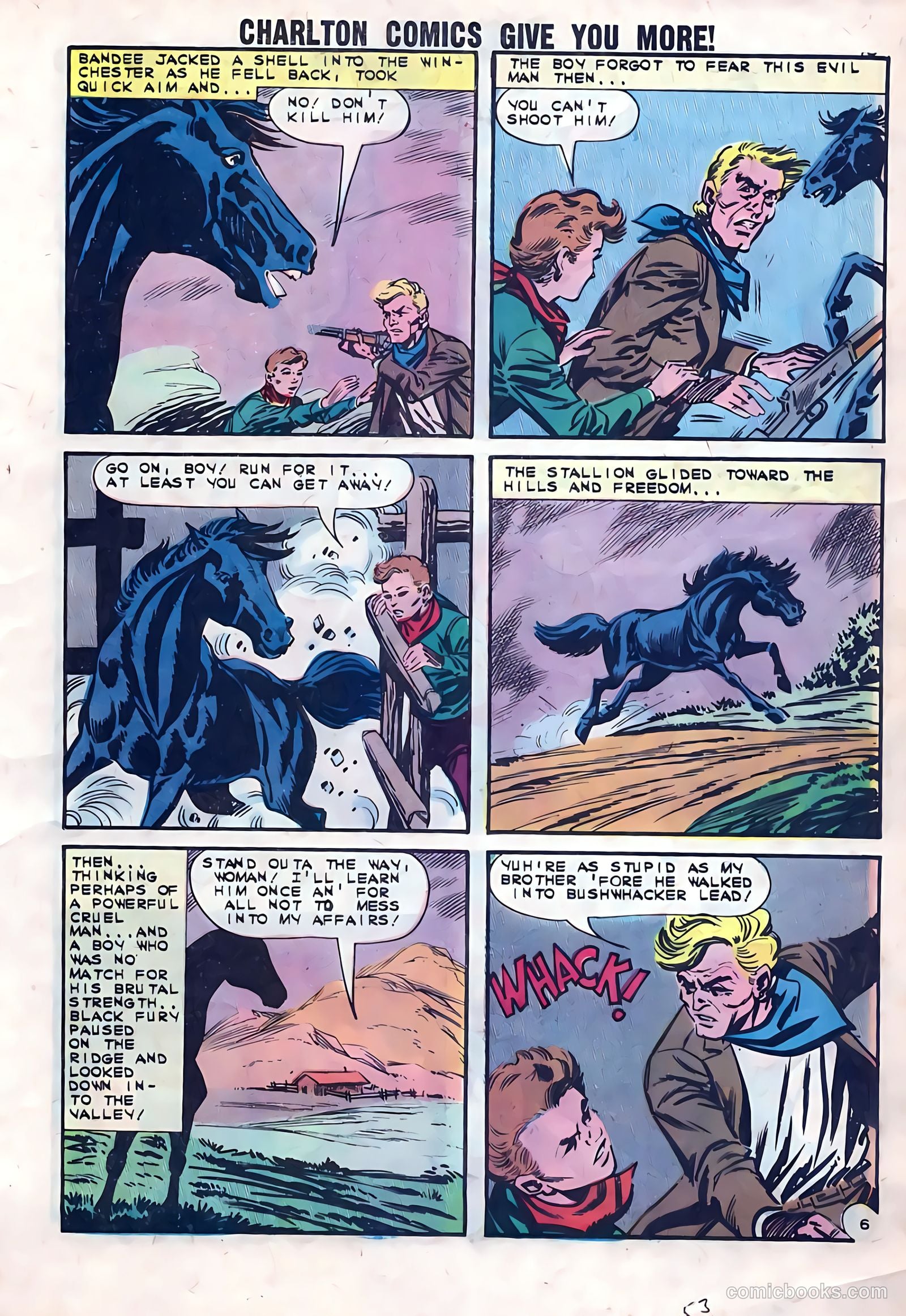 Black Fury #41 (1963) — page 17 of 36