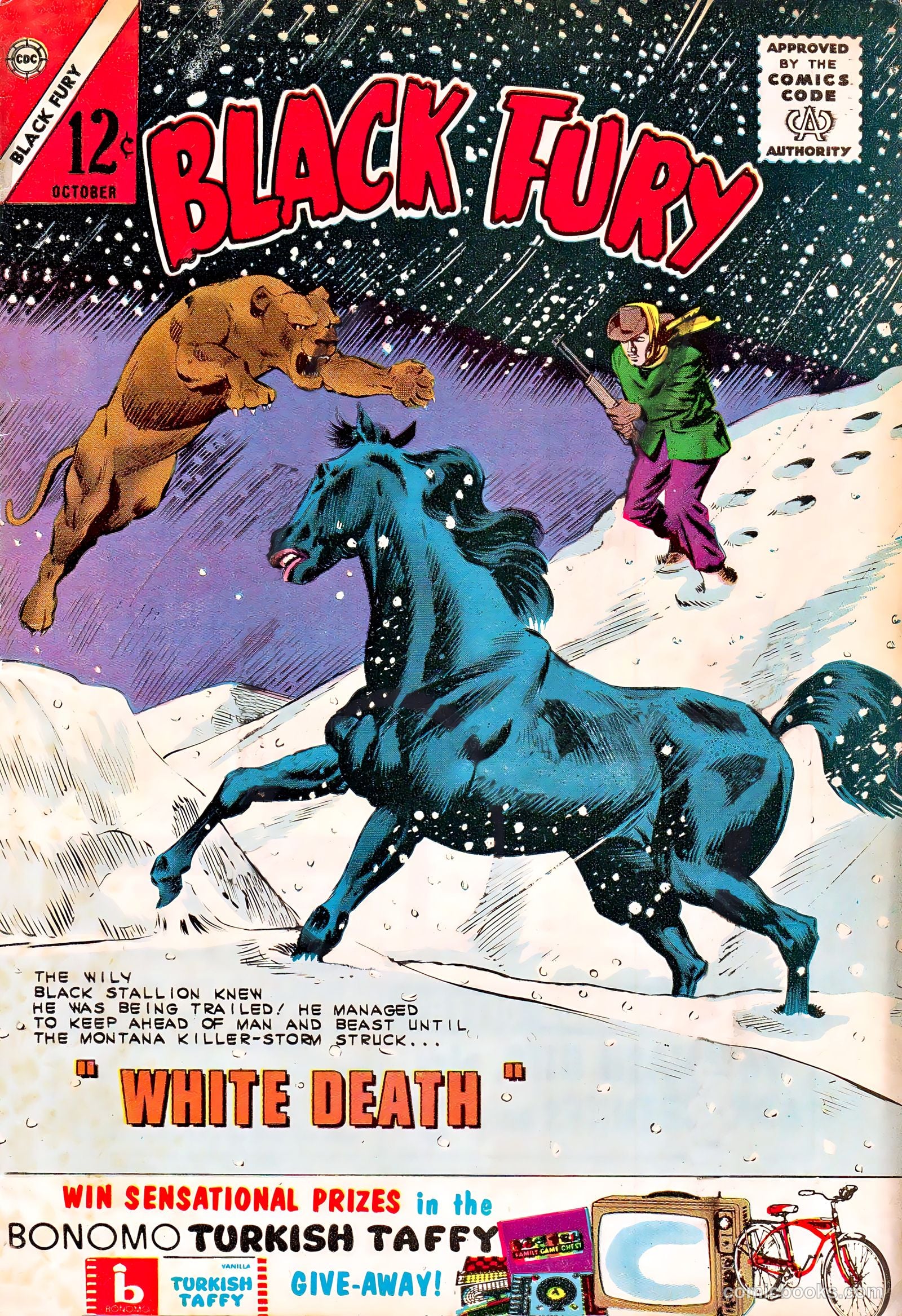 Black Fury #44