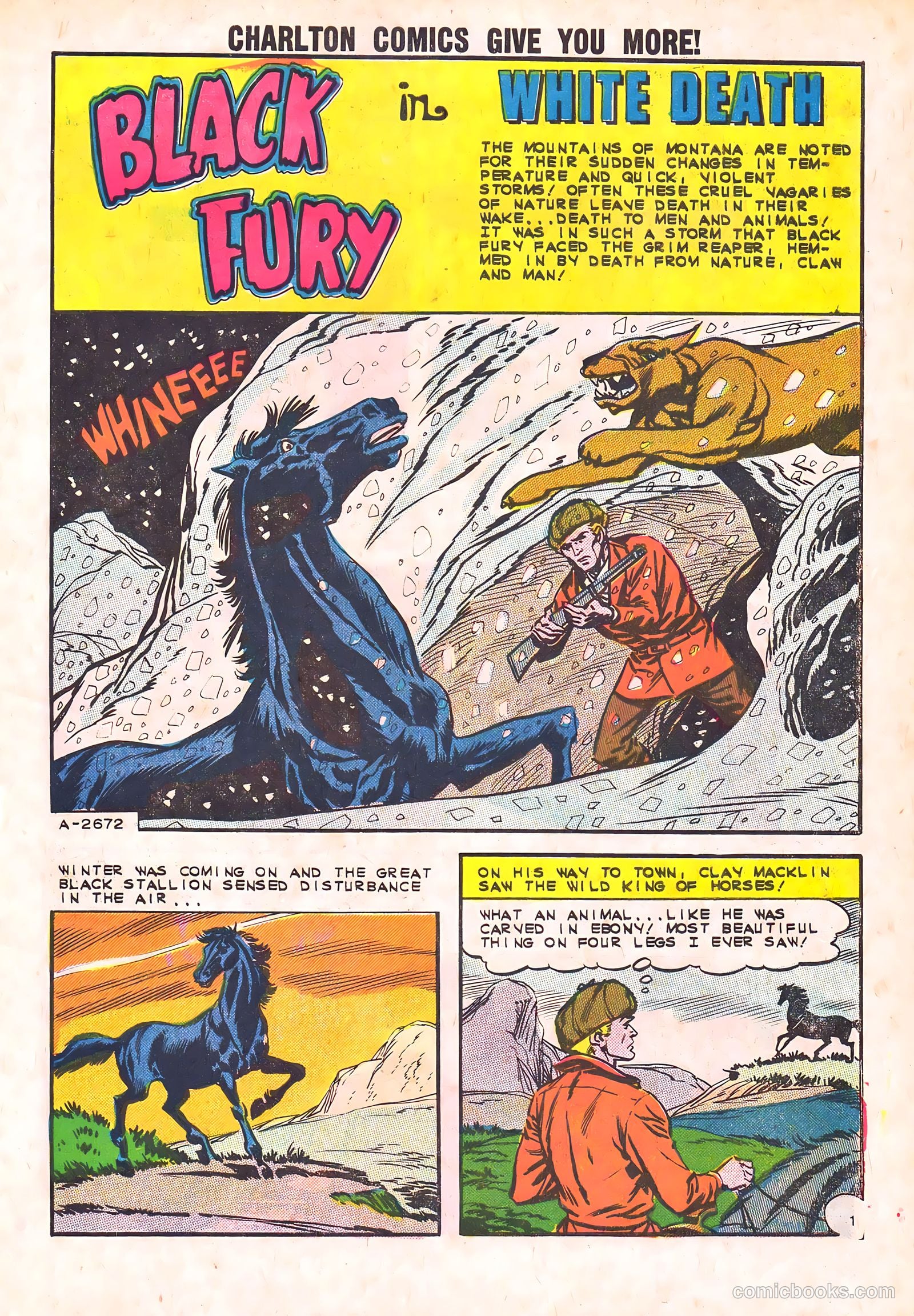Black Fury #44 (1963) — page 3 of 36