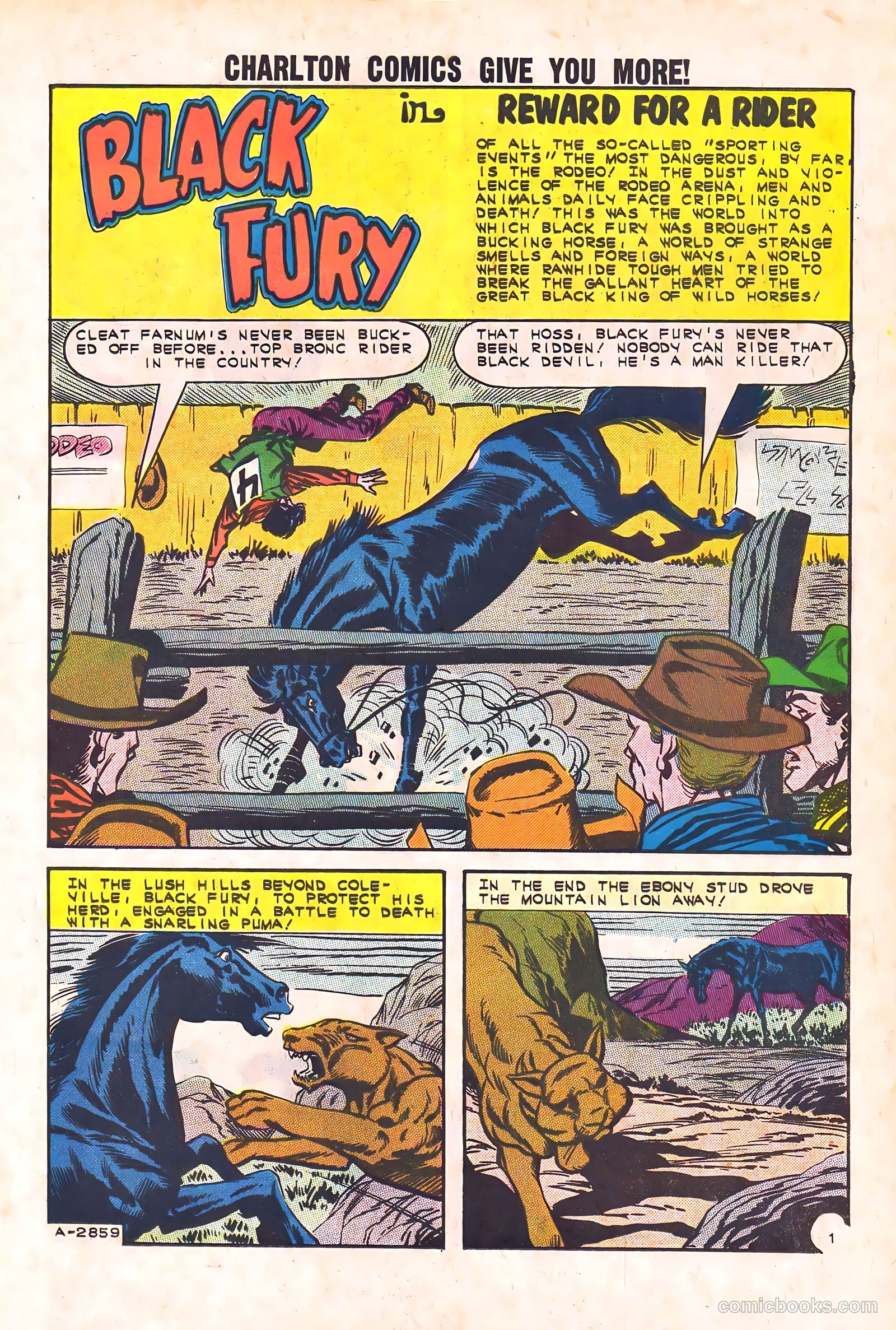 Black Fury #44 (1963) — page 11 of 36