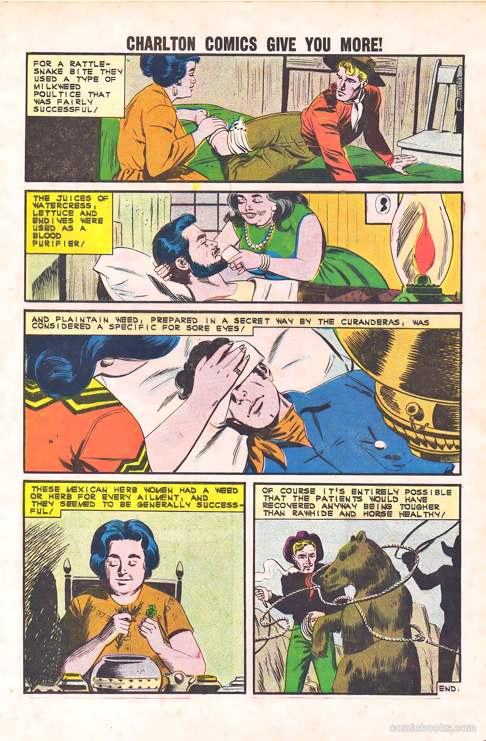 Black Fury #44 (1963) — page 25 of 36