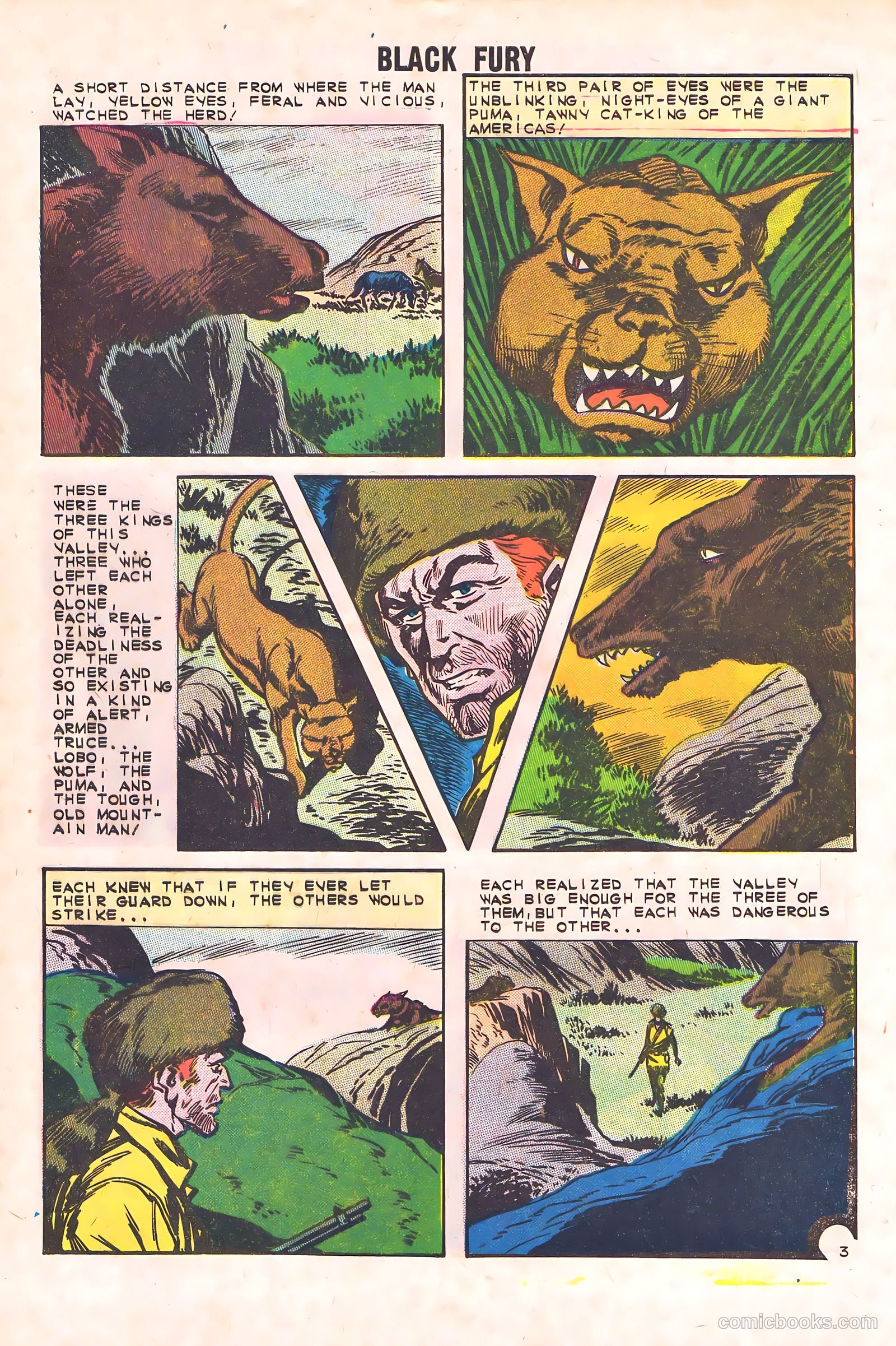 Black Fury #44 (1963) — page 28 of 36